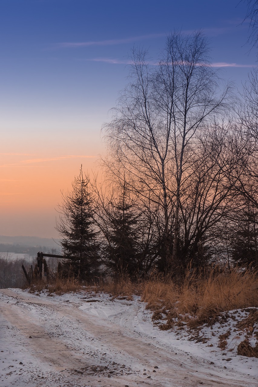 Twilight, Saulėlydis, Žiemos Peizažas, Vakaras, Dangus, Vakaruose, Gamtos Grožis, Žiema, Sniegas, Beržas