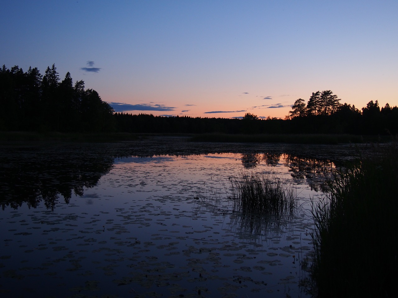 Twilight, Ežeras, Gražiai, Tarn, Veidrodis, Švedija, Sörmland, Nemokamos Nuotraukos,  Nemokama Licenzija