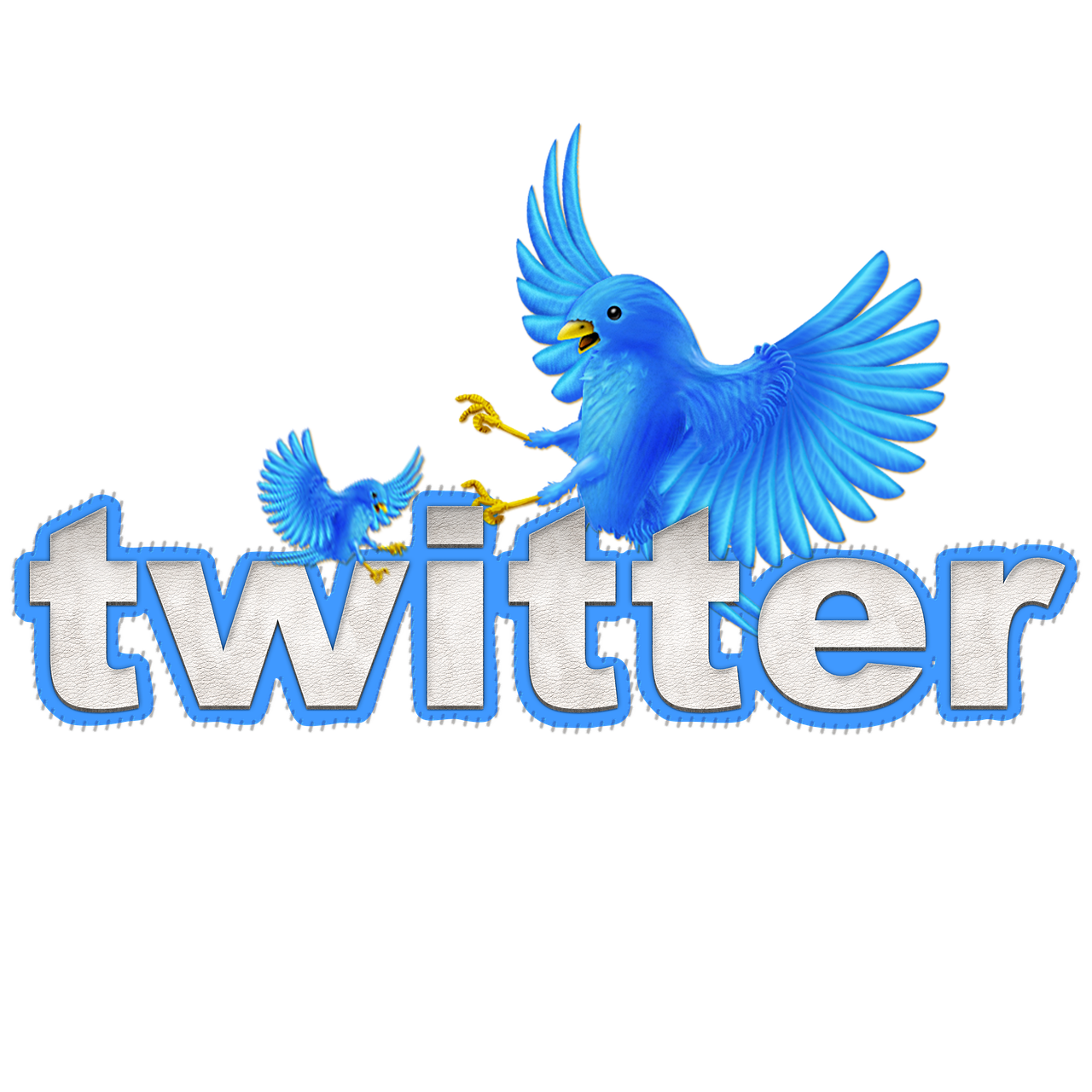 Twitter, Čivināšana, Twitter Paukštis, Multimedija, Nemokamos Nuotraukos,  Nemokama Licenzija