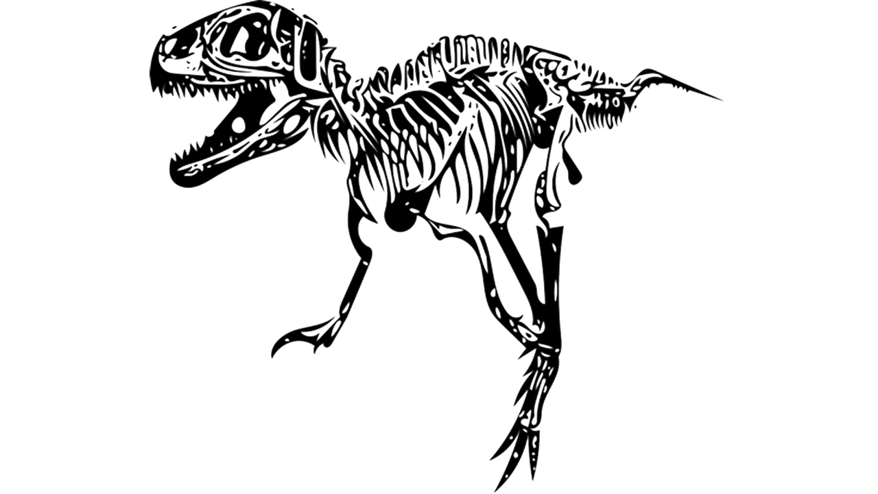 Tyrannosaurus, T-Rex, Iškastinis, Nemokamos Nuotraukos,  Nemokama Licenzija