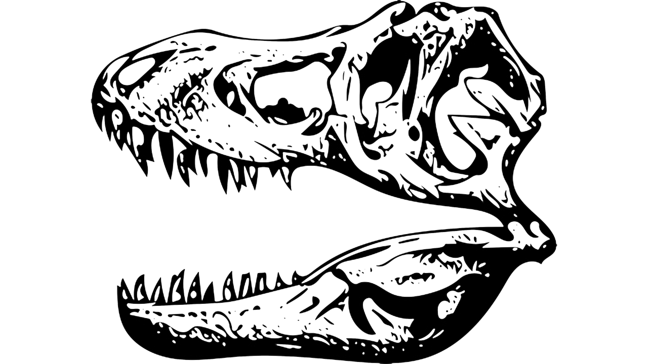 Tyrannosaurus, T-Rex, Iškastinis, Nemokamos Nuotraukos,  Nemokama Licenzija