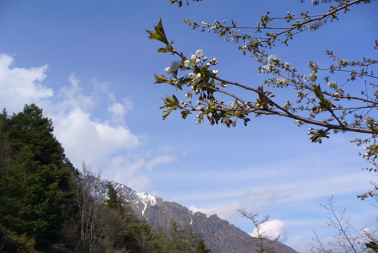 Tyrol, Kalnai, Pavasaris, Nemokamos Nuotraukos,  Nemokama Licenzija