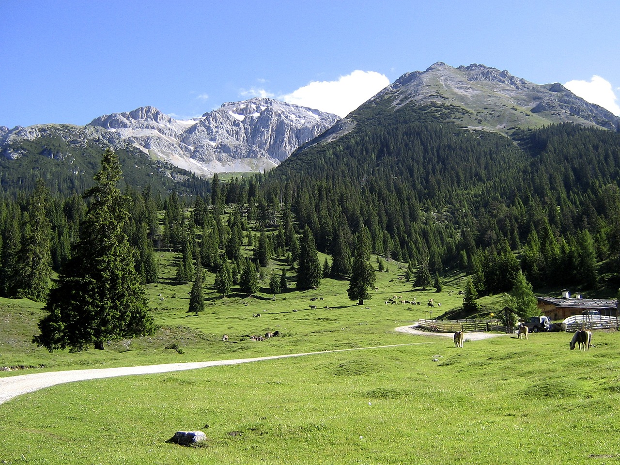 Tyrol, Kalnų Pieva, Alm, Austria, Kraštovaizdis, Medžiai, Kalnai, Kaimas, Nemokamos Nuotraukos,  Nemokama Licenzija