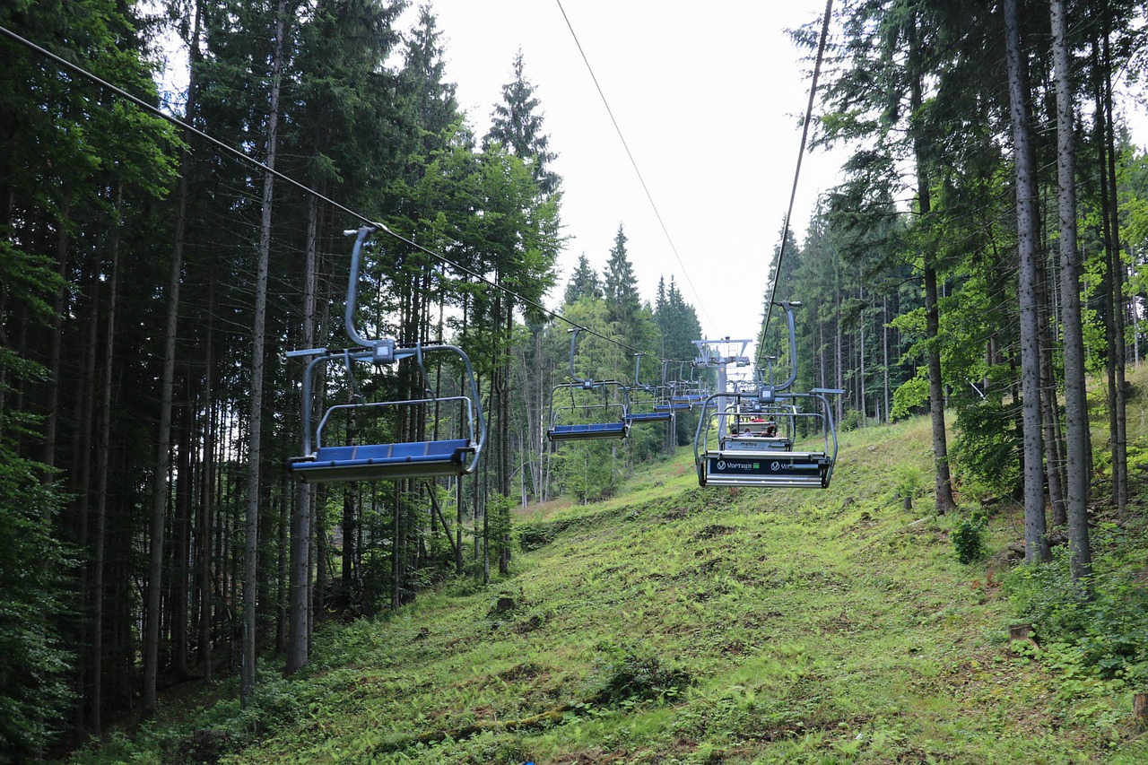 Ukraina, Kelionė, Miškai, Žalias, Turizmas, Kraštovaizdis, Gamta, Peizažas, Lauke, Kelionė