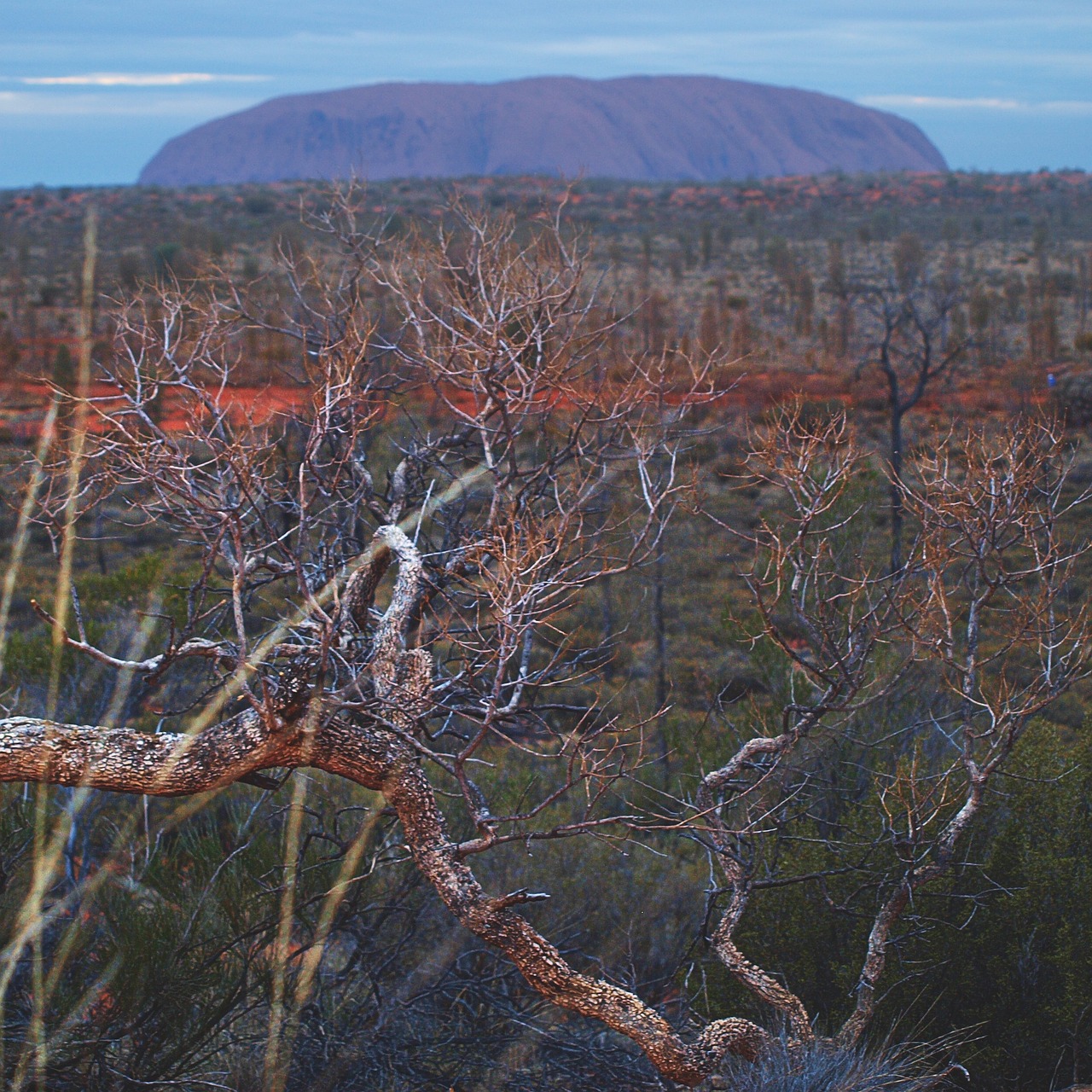Uluru, Šventas, Šiaurės Teritorija, Outback, Australia, Raudona, Rokas, Dykuma, Ayers, Centras
