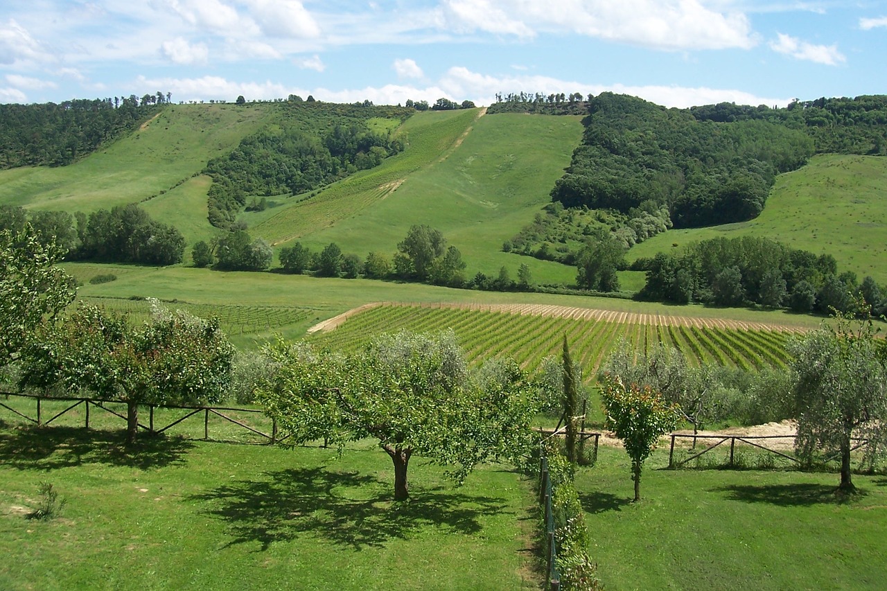 Umbria, Kalnas, Kotedžai-Poilsio Nuoma, Žalias, Nemokamos Nuotraukos,  Nemokama Licenzija