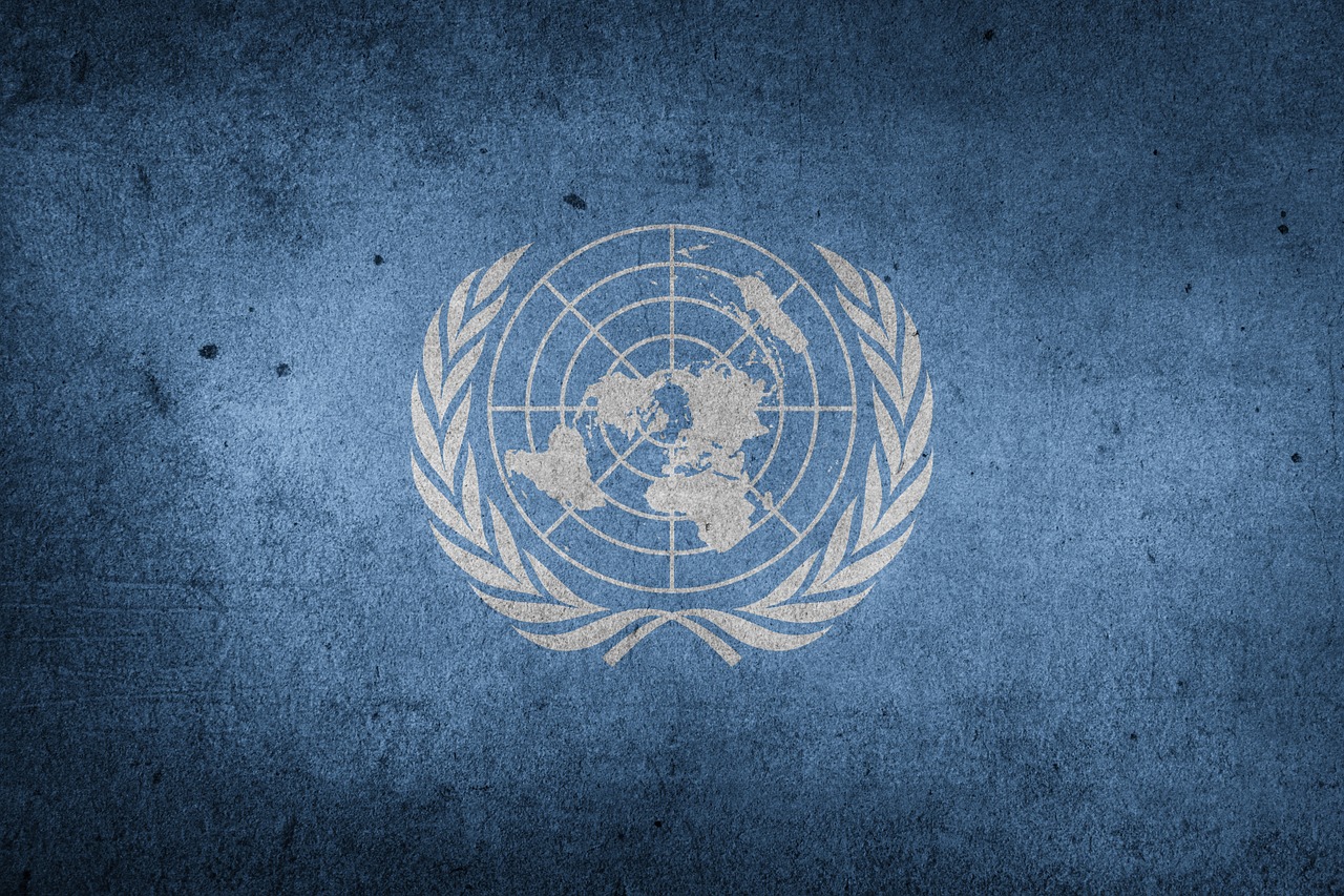 Jungtinės Tautos, Pasaulis, Vėliava, Un, Grunge, Nemokamos Nuotraukos,  Nemokama Licenzija