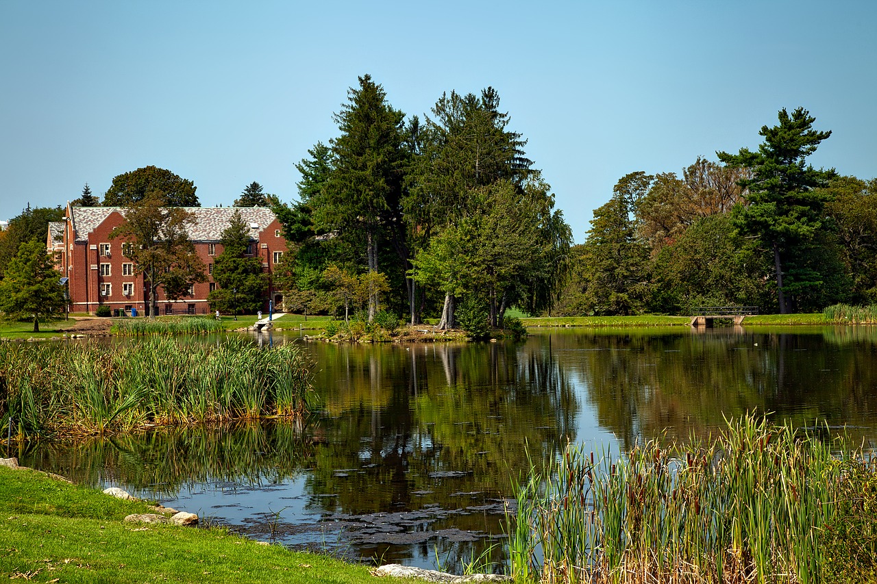 Connecticut Universitetas, Pastatai, Tvenkinys, Ežeras, Campus, Apmąstymai, Ruduo, Kritimas, Kraštovaizdis, Vaizdingas