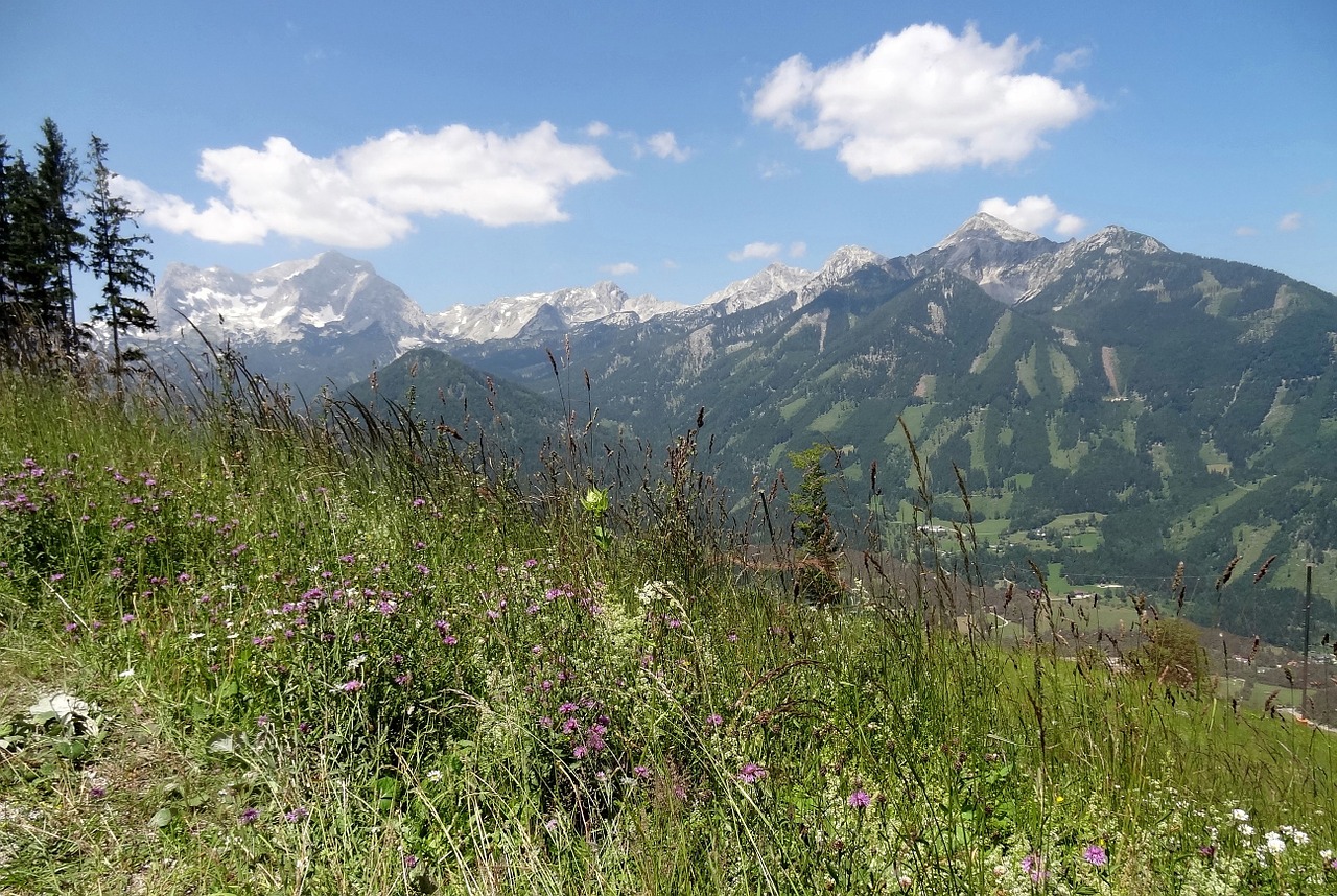 Aukštutinė Austrija, Höss ​​Panoramastraße, Šventė, Kelionė, Kraštovaizdis, Panorama, Kalnai, Vasara, Panoraminiai Vaizdai, Žolė