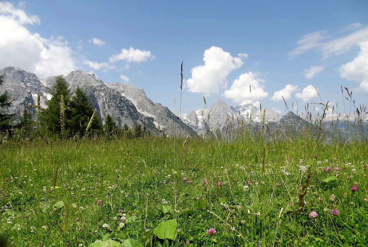 Aukštutinė Austrija, Dolomito Tešla, Šventė, Kelionė, Kraštovaizdis, Panorama, Kalnai, Vasara, Panoraminiai Vaizdai, Žolė