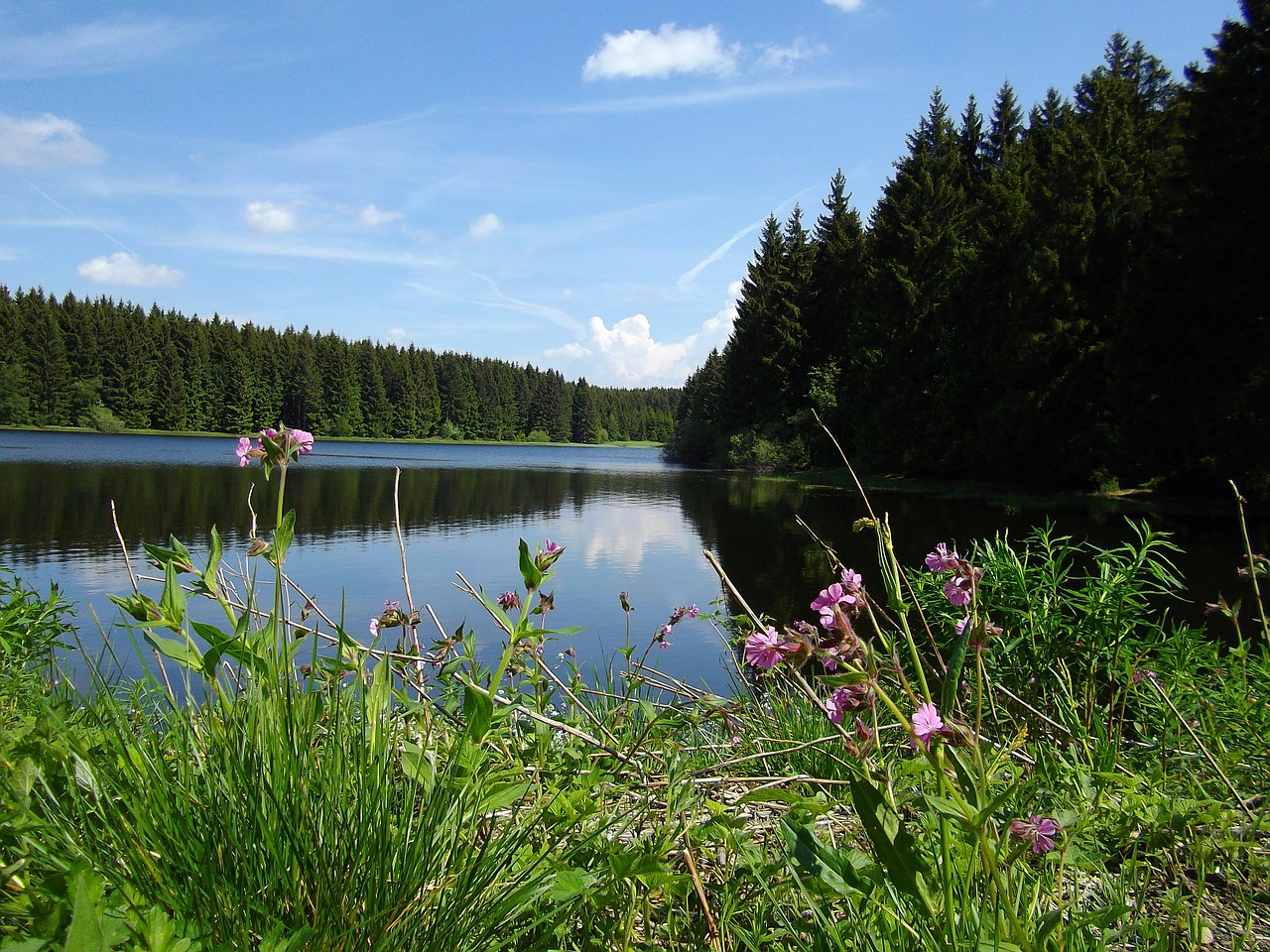 Viršutinė Harzo Vandens Lentyna, Kasyba, Derva, Tvenkinys, Nemokamos Nuotraukos,  Nemokama Licenzija