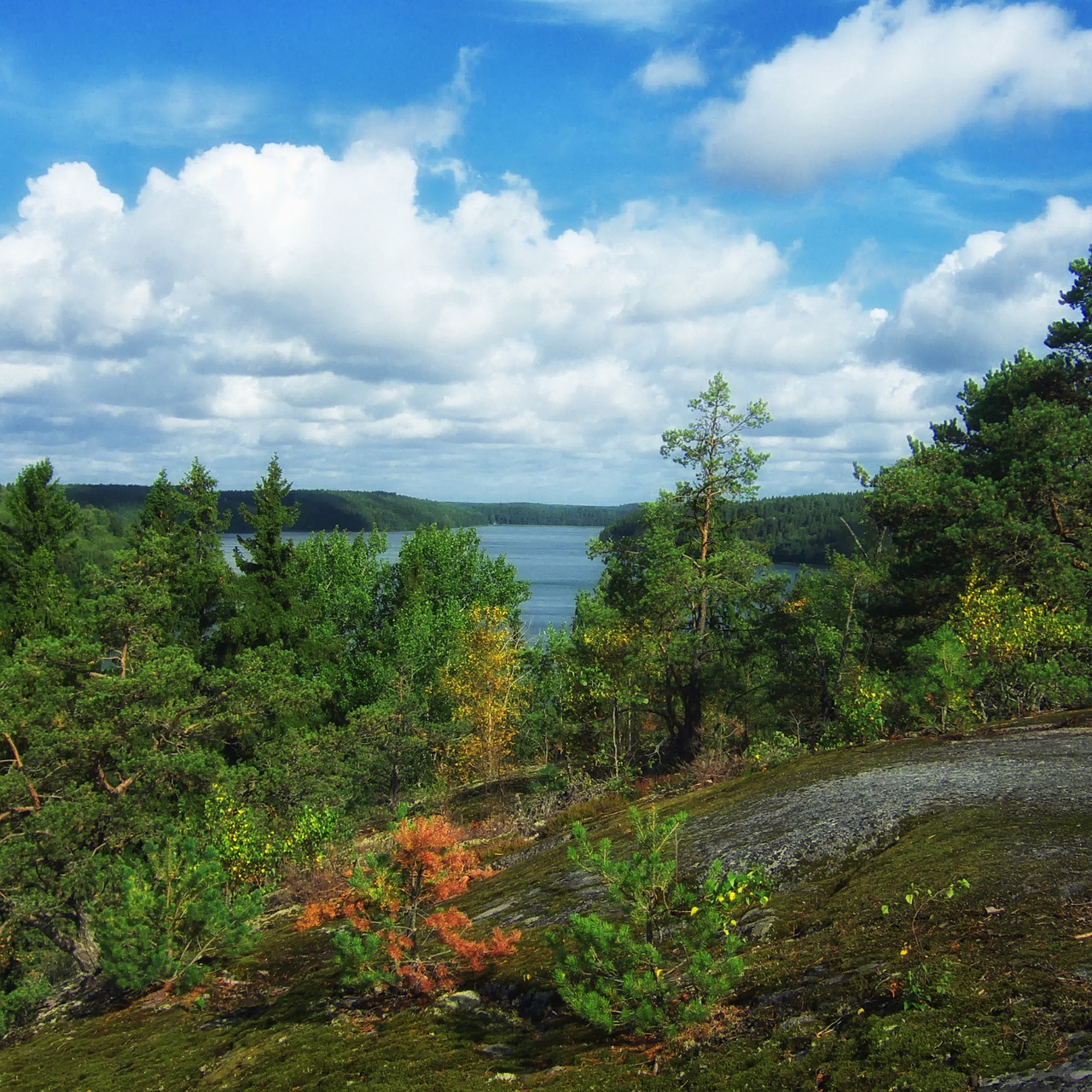 Uppland, Švedija, Ežeras, Kraštovaizdis, Vaizdingas, Miškas, Medžiai, Gamta, Lauke, Šalis