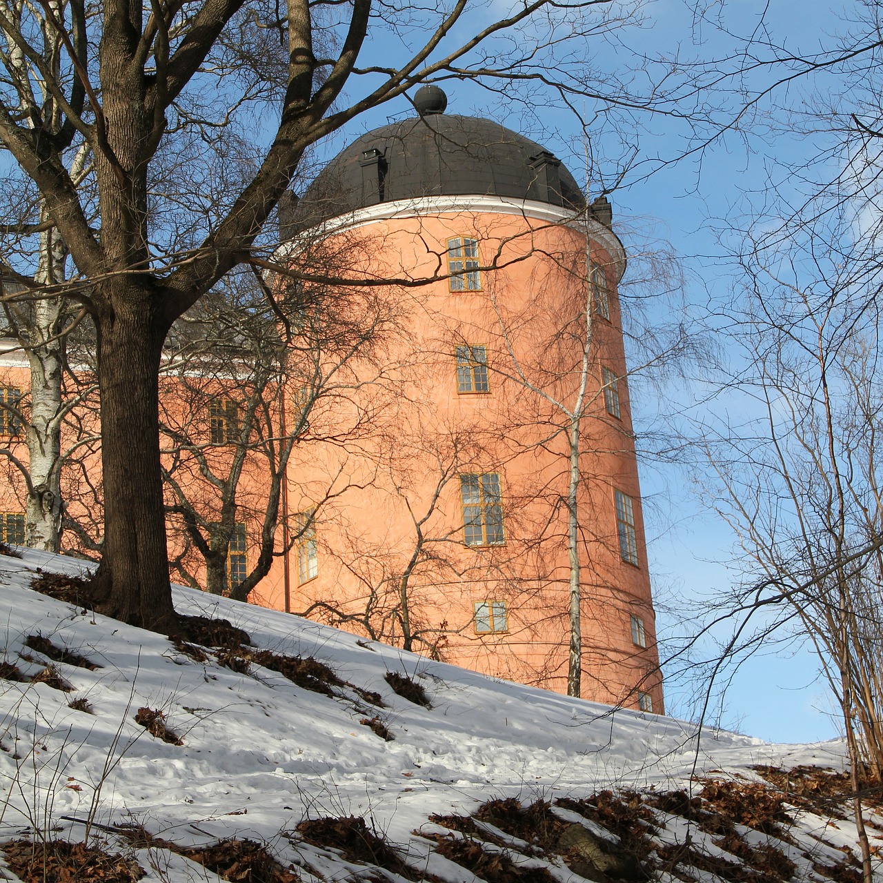 Upsala Pilis, Uppsala, Pilis, Žiema, Rožinis, Švedija, Nemokamos Nuotraukos,  Nemokama Licenzija