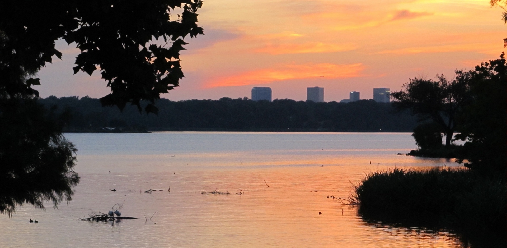 Saulėlydis,  Dusk,  Twilight,  Ežeras,  Vanduo,  Siluetai,  Miesto,  Panorama,  Ramus,  Ramus