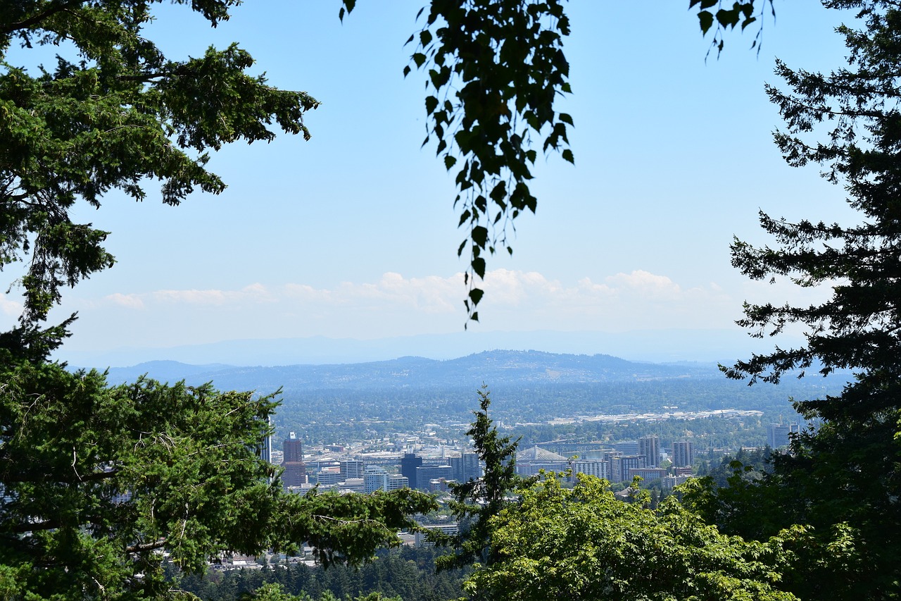 Miesto Vaizdai, Portlandas, Medžiai, Kraštovaizdis, Centro, Miestas, Gamta, Miesto Panorama, Panorama, Nemokamos Nuotraukos