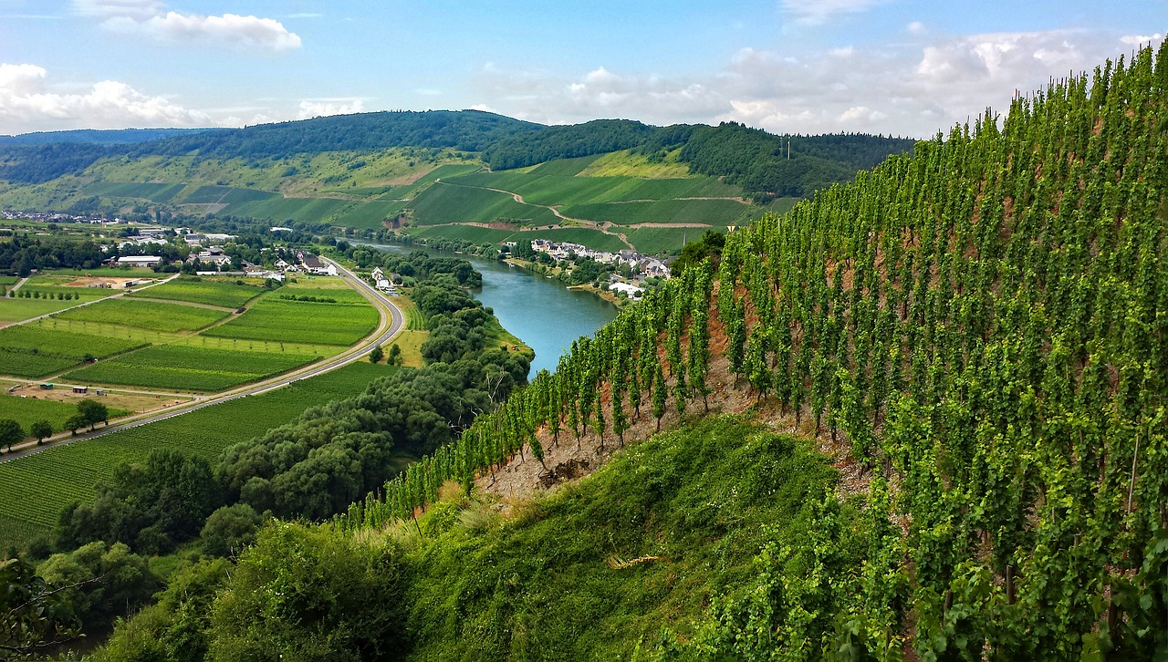 Ürzig, Mosel, Sachsen, Vokietija, Vynas, Vynuogynai, Kraštovaizdis, Kaimas, Upė, Šventė