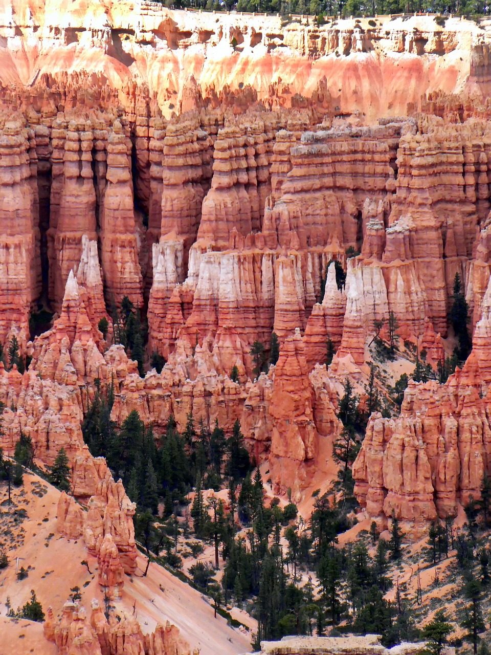 Usa, Uolos, Bryce Kanjonas, Hoodoos, Erozija, Nacionalinis Parkas, Panorama, Turistinė Vieta, Kraštovaizdis, Didžiulis