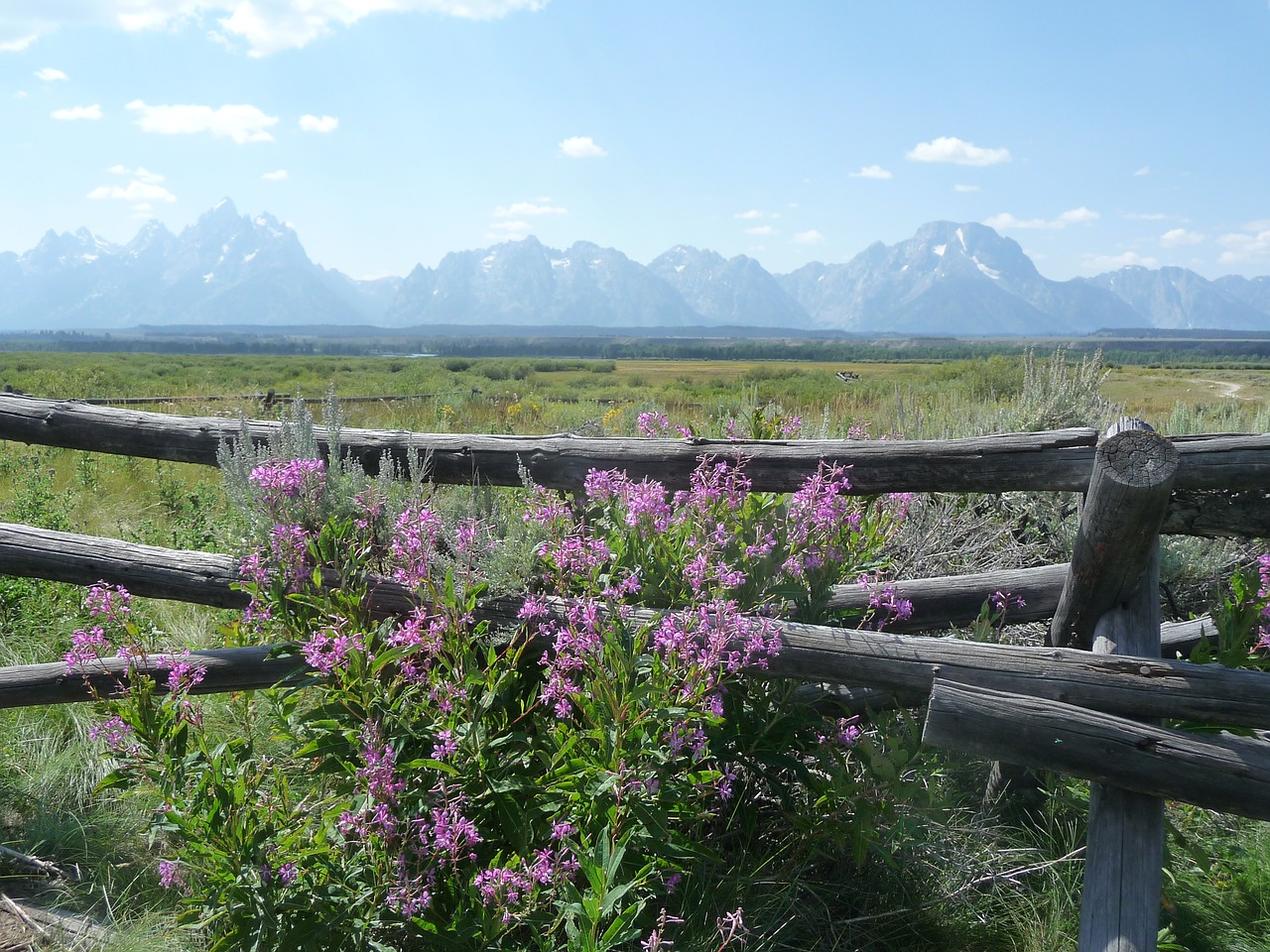 Usa, Vajomingas, Grand Teton Nacionalinis Parkas, Kraštovaizdis, Nemokamos Nuotraukos,  Nemokama Licenzija