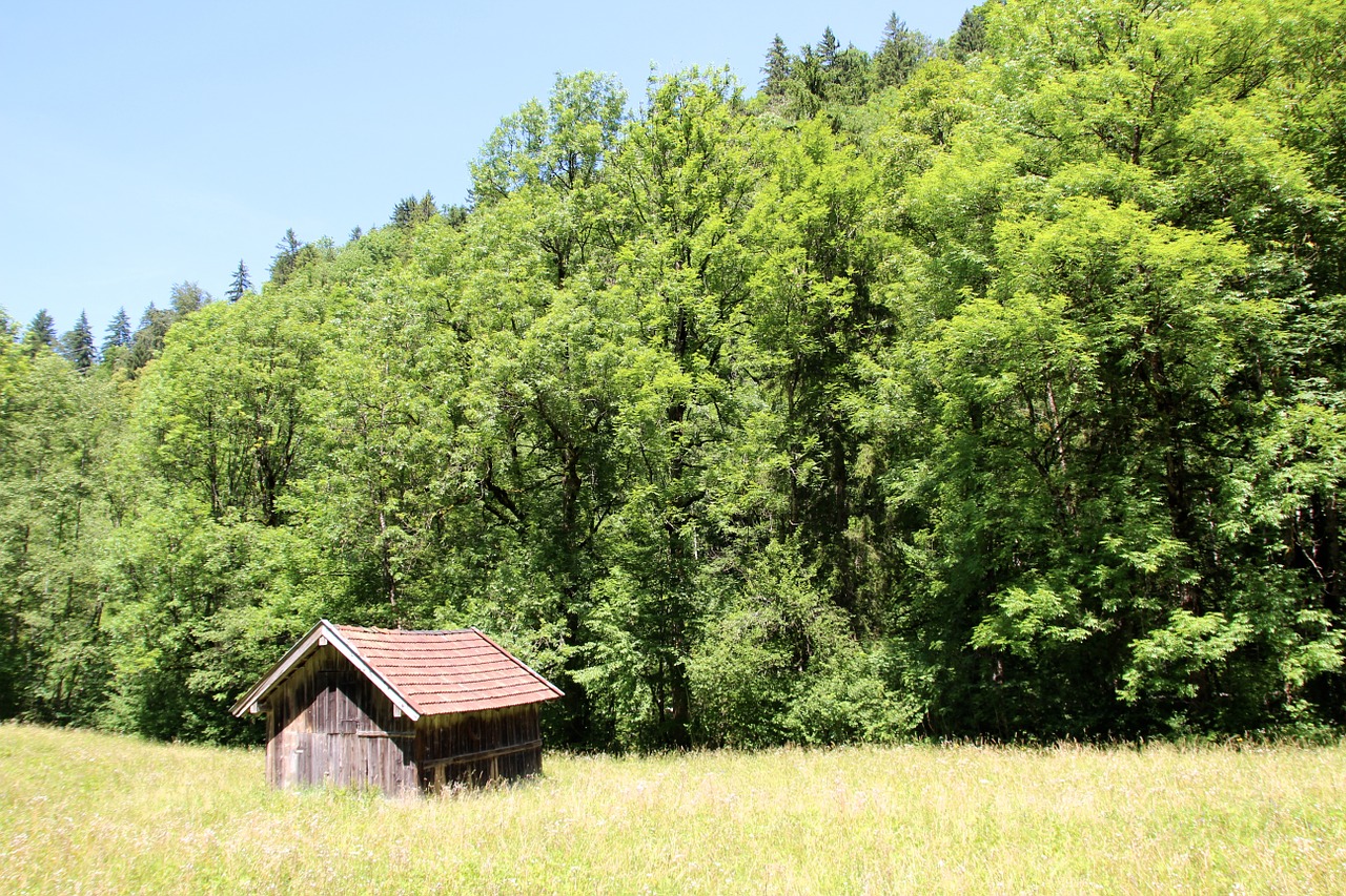 Atostogos, Rąstinis Namelis, Gamta, Miškas, Pieva, Miško Sodyba, Namelis, Mediena, Nemokamos Nuotraukos,  Nemokama Licenzija