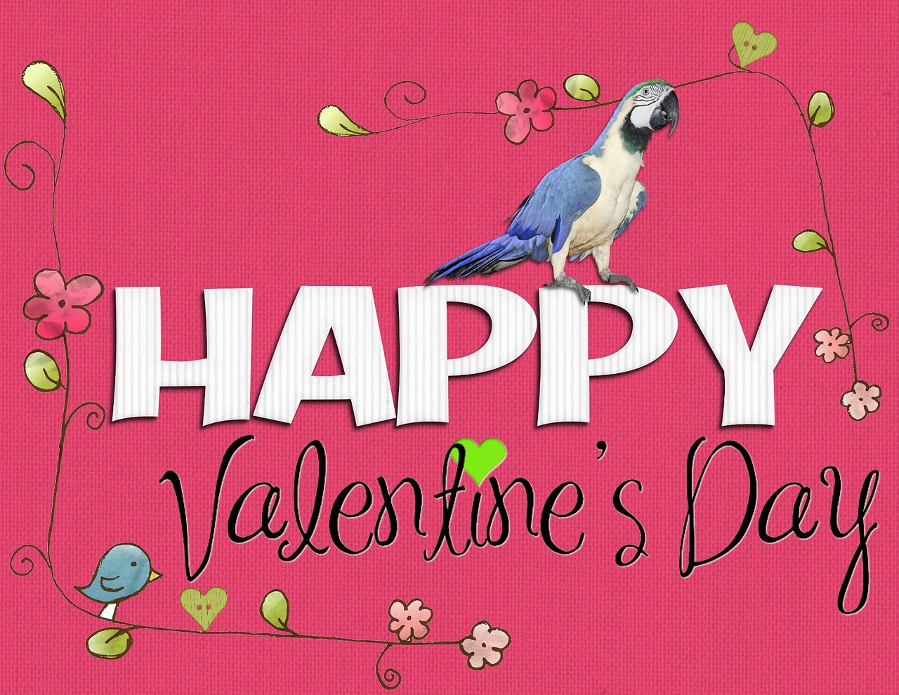 Valentine, Diena, Laimingos Valentino Dienos, Rožinis, Paukštis, Mielas, Gėlė, Pranešimas, Pasveikinimas, Kortelė