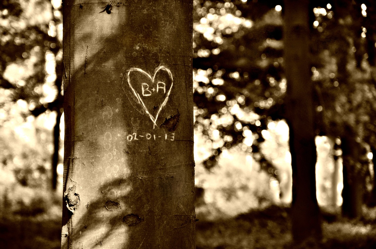 Valentine, Širdis, Drožyba, Medis, Širdies Raižyti Medis, Simbolis, Ženklas, Meilė, Romantika, Vintage