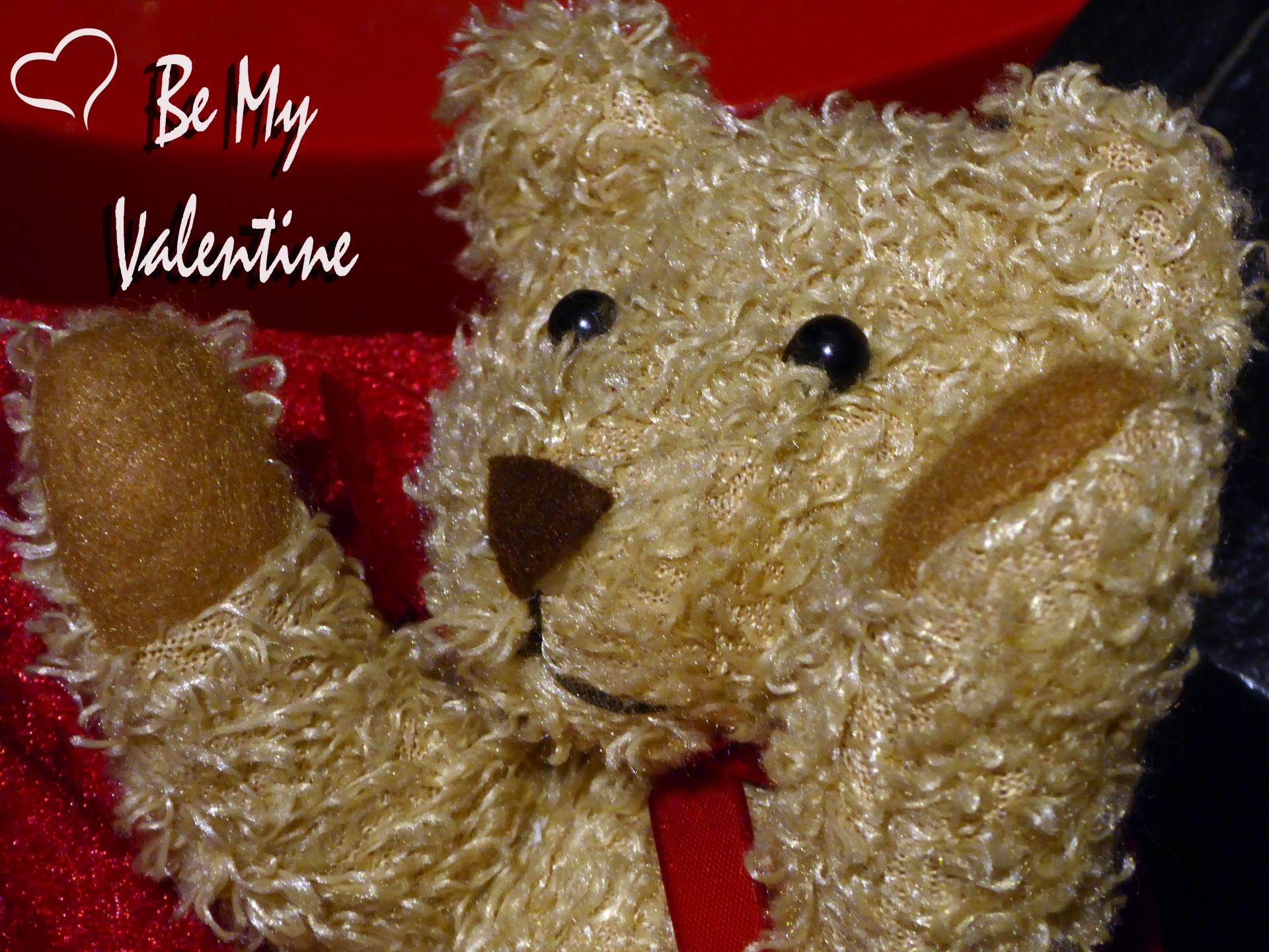 Valentine,  Valentino Diena & Nbsp,  Teddy & Nbsp,  Bear,  Žaislas,  Būti & Nbsp,  Mano & Nbsp,  Valentine,  Meilė,  Šventė