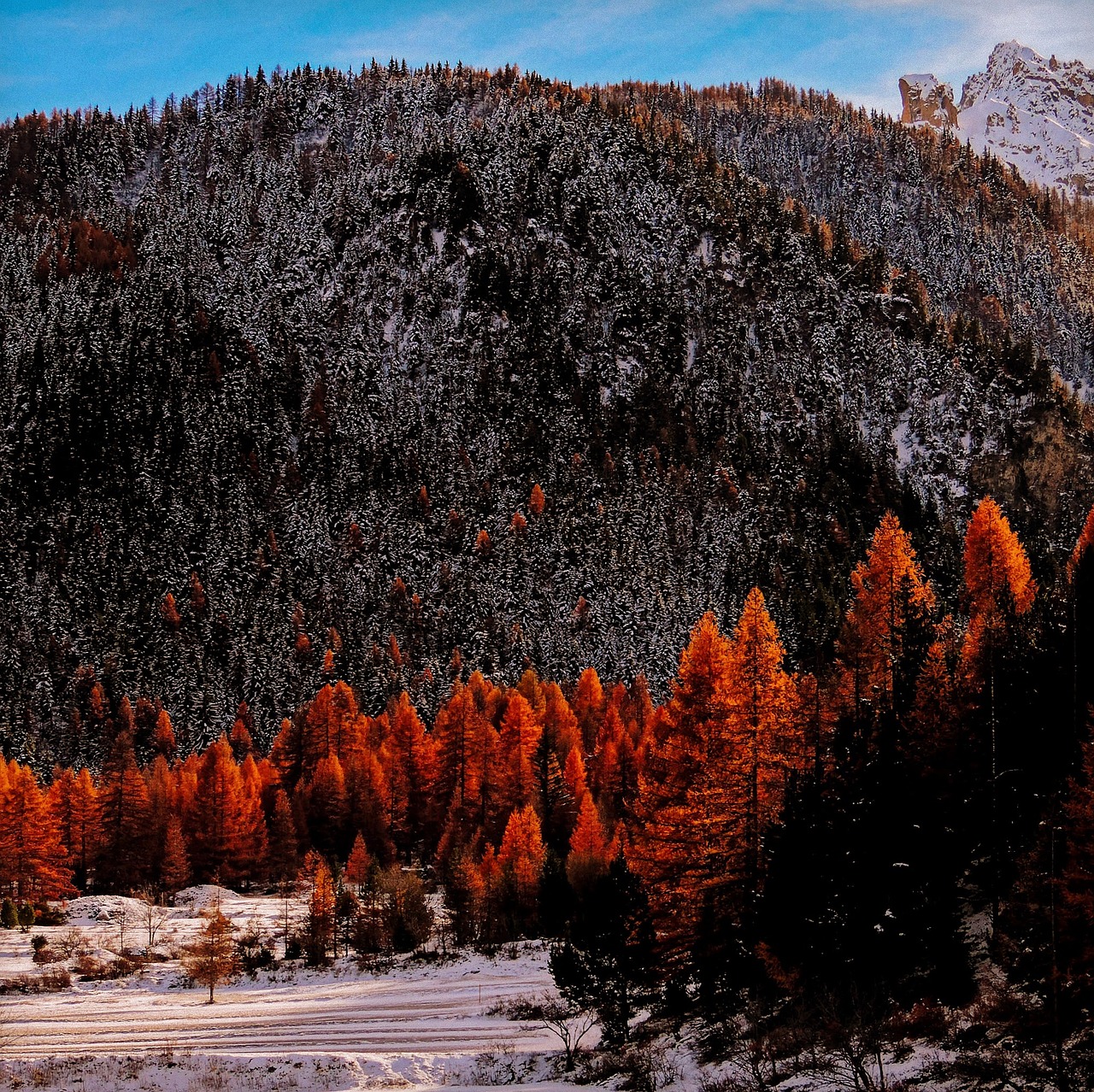 Valle Stretta, Piemonte, Italy, Ruduo, Medžiai, Sniegas, Kalnas, Kalnai, Kraštovaizdis, Peizažai