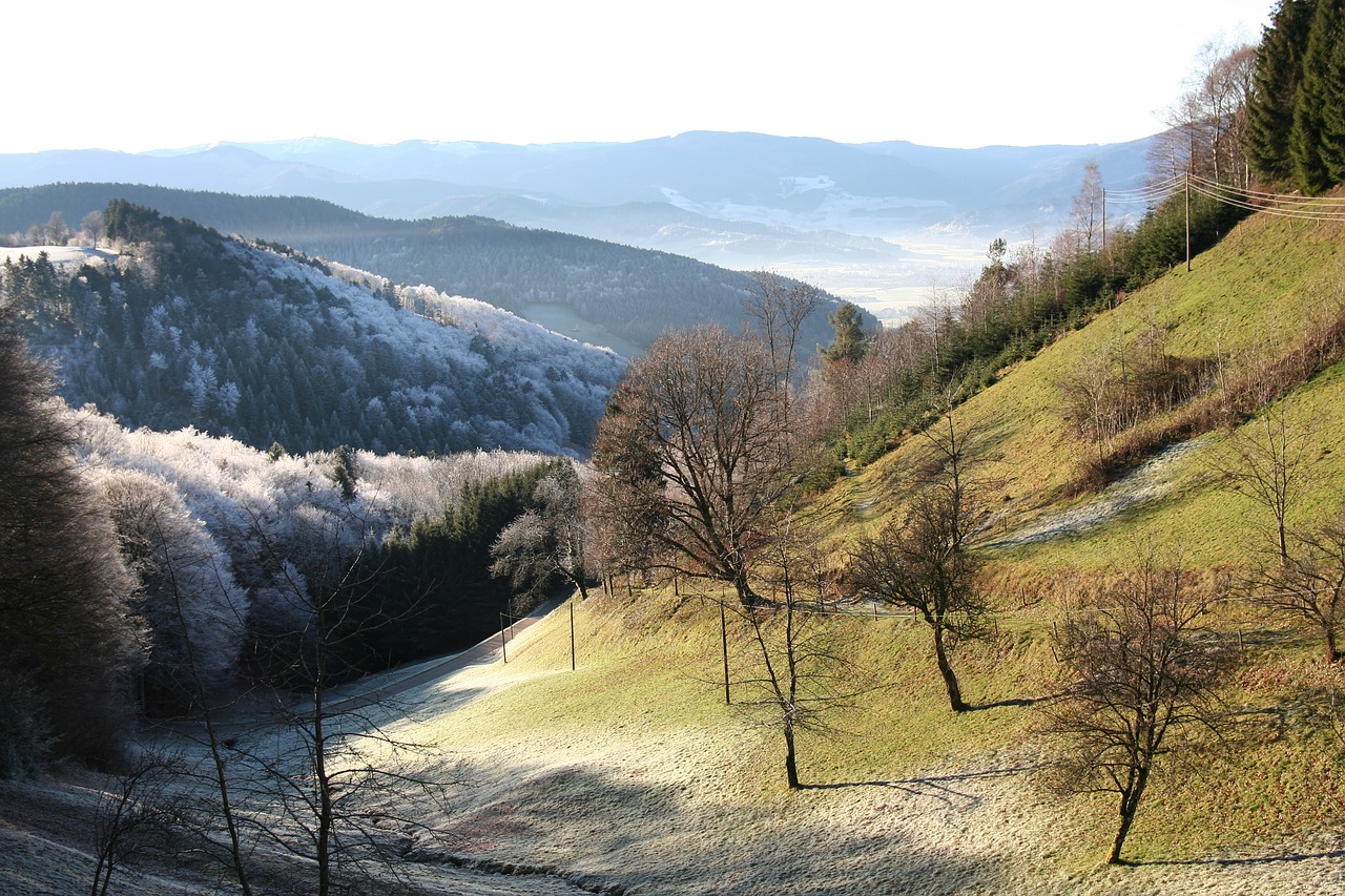 Slėnis, Morgentau, Juodasis Miškas, Nemokamos Nuotraukos,  Nemokama Licenzija