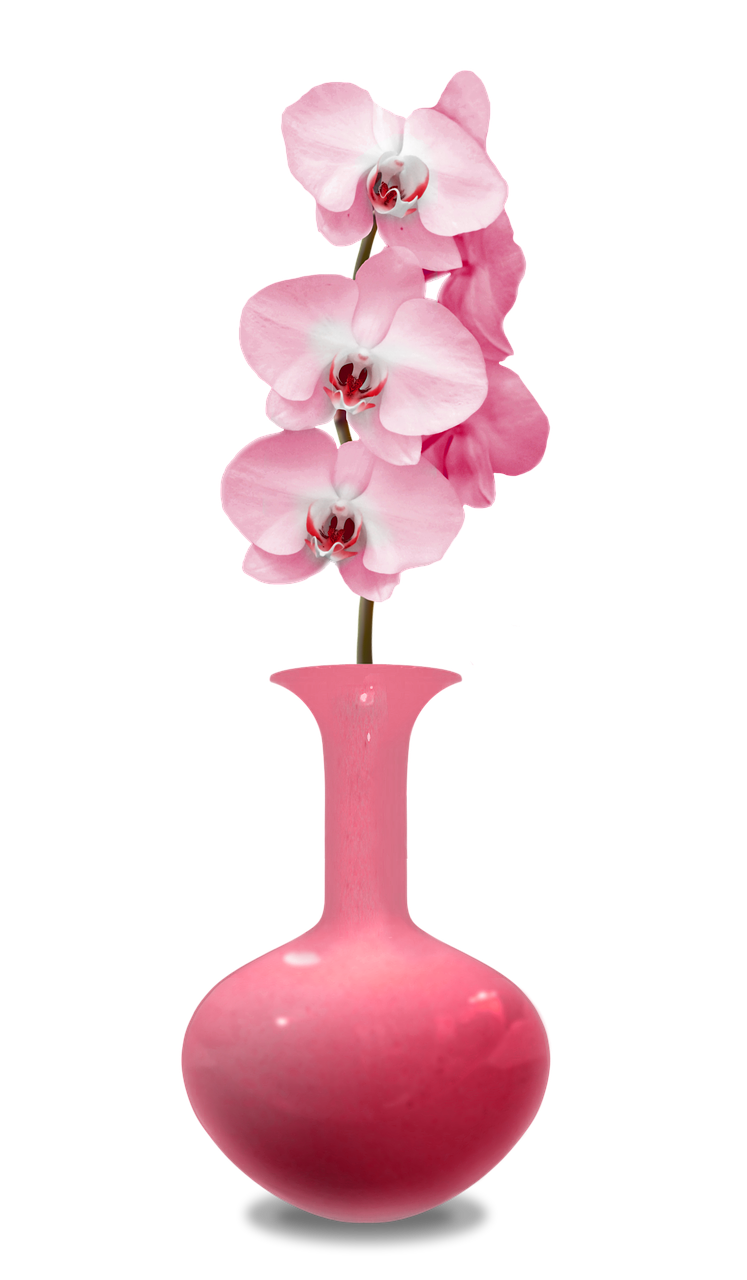Vazos, Orchidėjos, Rožinis, Gėlių Kambarys, Orchidėja, Augalas, Rytietiška Gėlė, Apdaila, Žydi, Flora