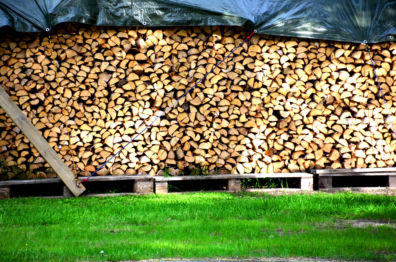 Woodpile,  Švilpukas,  Švedija,  Švedų,  Mediena,  Švedijos Vasara,  Skellefteå,  Ersmarksberget, Nemokamos Nuotraukos,  Nemokama Licenzija