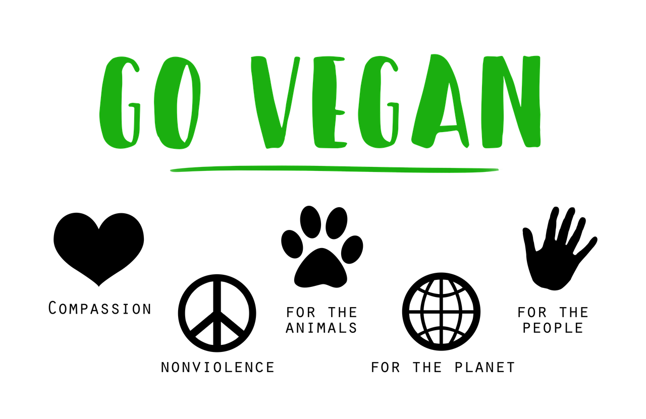 Veganas, Eiti Veganą, Užuojauta, Ženklas, Tekstas, Parašyta, Aplinkosauga, Veganizmas, Augalinės Kilmės, Planeta