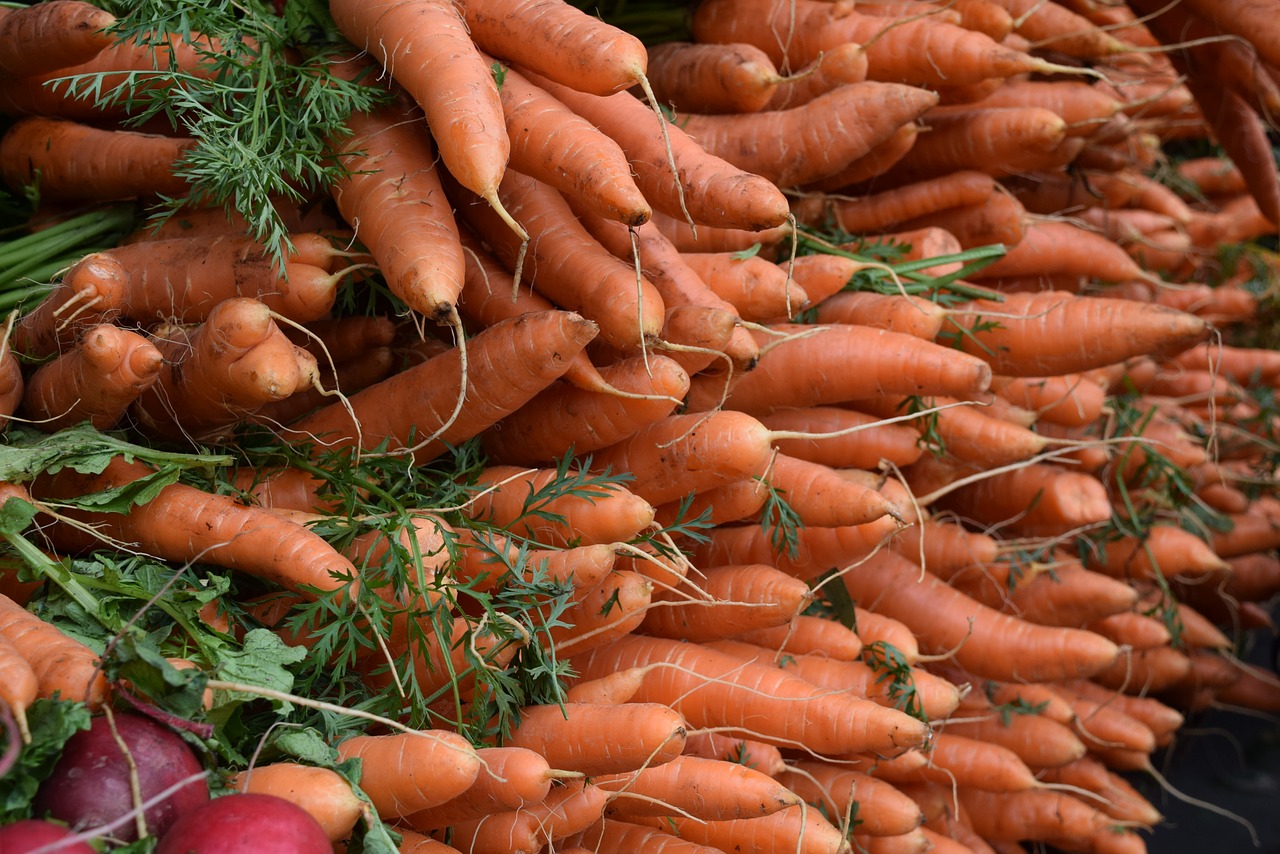 Daržovės, Veggies, Morkos, Nemokamos Nuotraukos,  Nemokama Licenzija