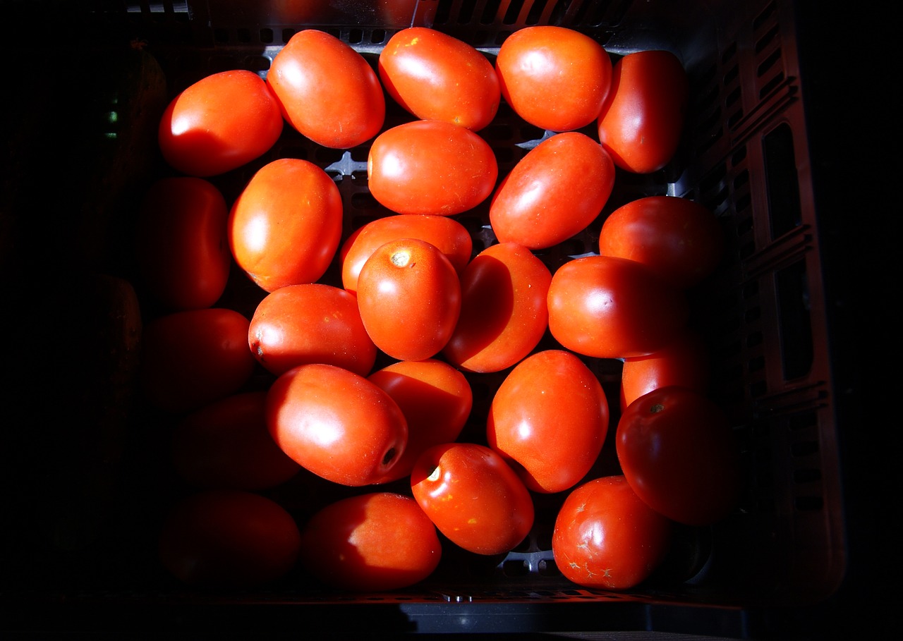 Daržovės, Pomidoras, Šviesa, Nemokamos Nuotraukos,  Nemokama Licenzija
