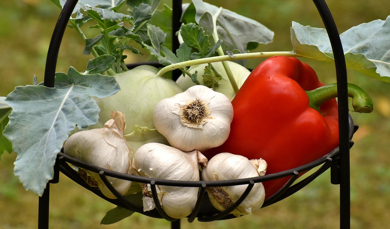 Daržovės,  Paprikos,  Česnako,  Sveiki,  Maisto,  Vitaminai,  Daržovių Augalų,  Šviežias,  Skanus, Nemokamos Nuotraukos