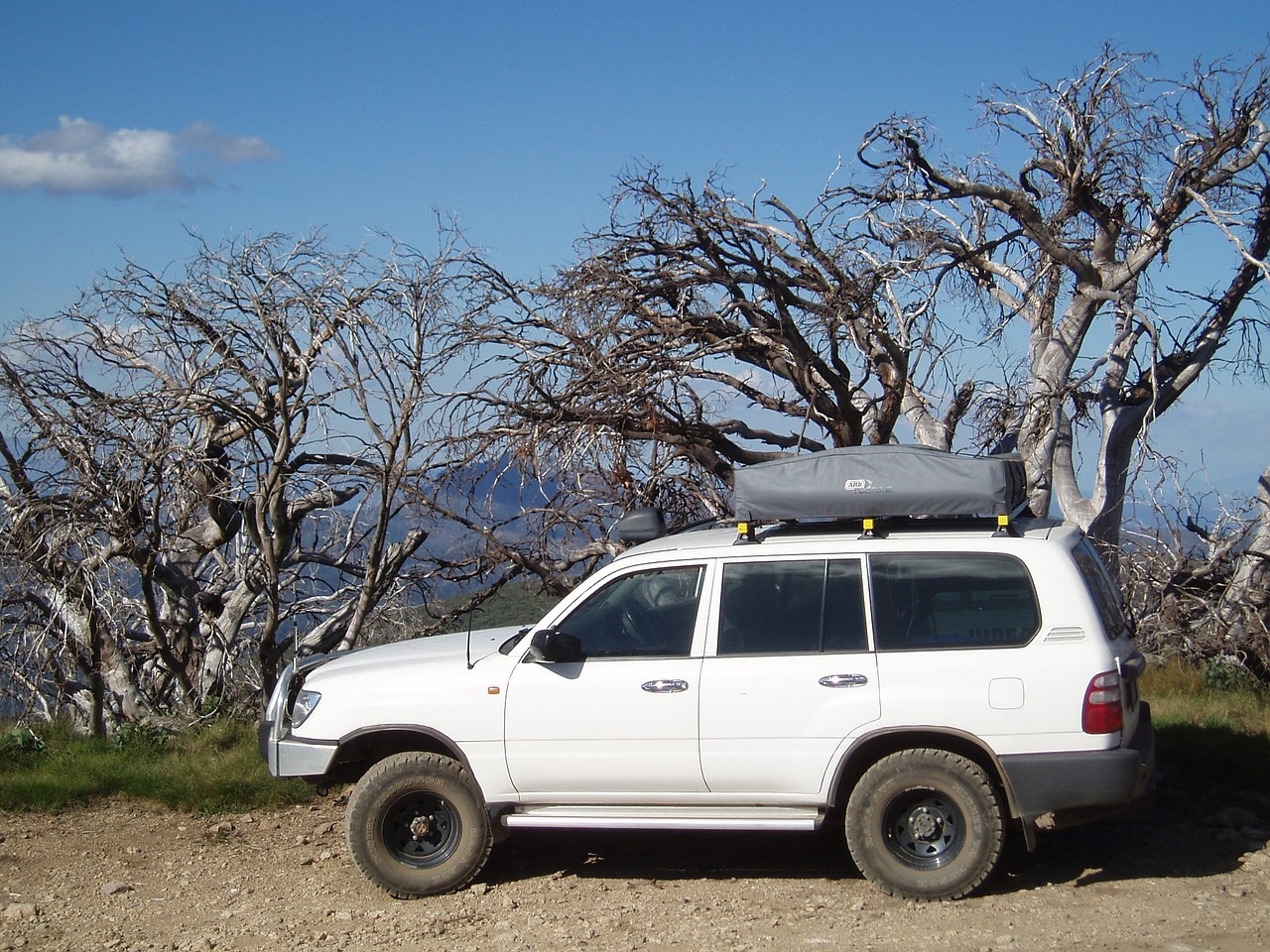 Transporto Priemonė, 4Xwd, Vakarų Alpės, Australia, Kelionė, Outback, Lauke, Gamta, Australian Outback, Medis