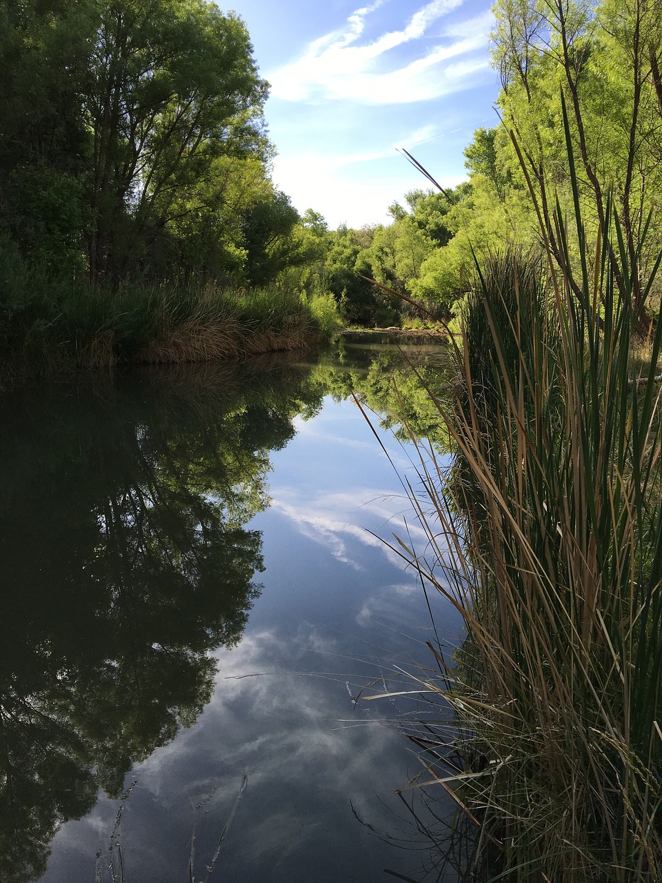 Verde Upės,  Cottonwood Arizona,  Dangus,  Upė,  Atspindys, Nemokamos Nuotraukos,  Nemokama Licenzija