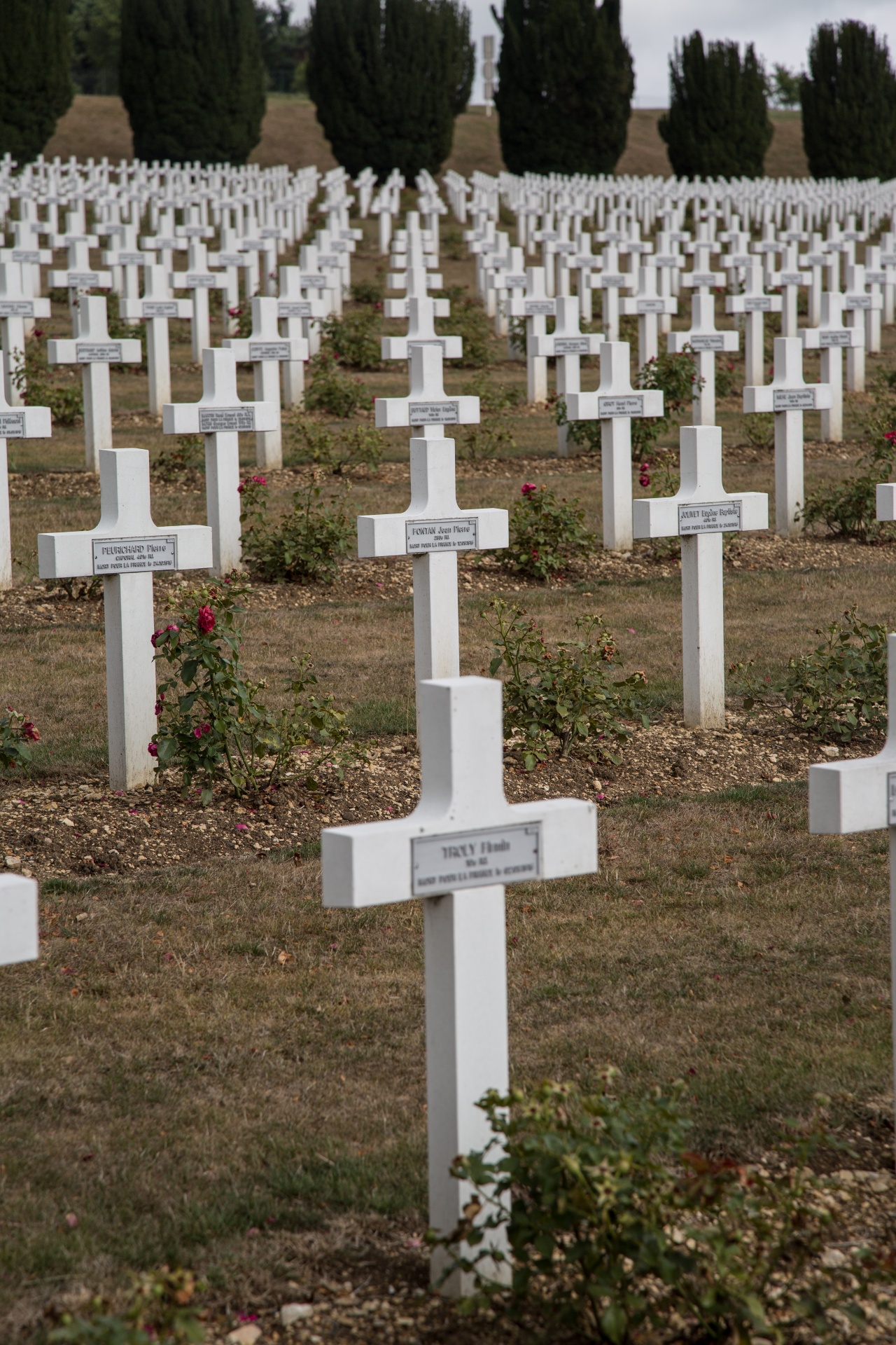 Verdun,  Kapas,  Kapinės,  Atminimas,  Auka,  Gėlės,  Ramus,  Kapas,  Simbolis,  Kareivis
