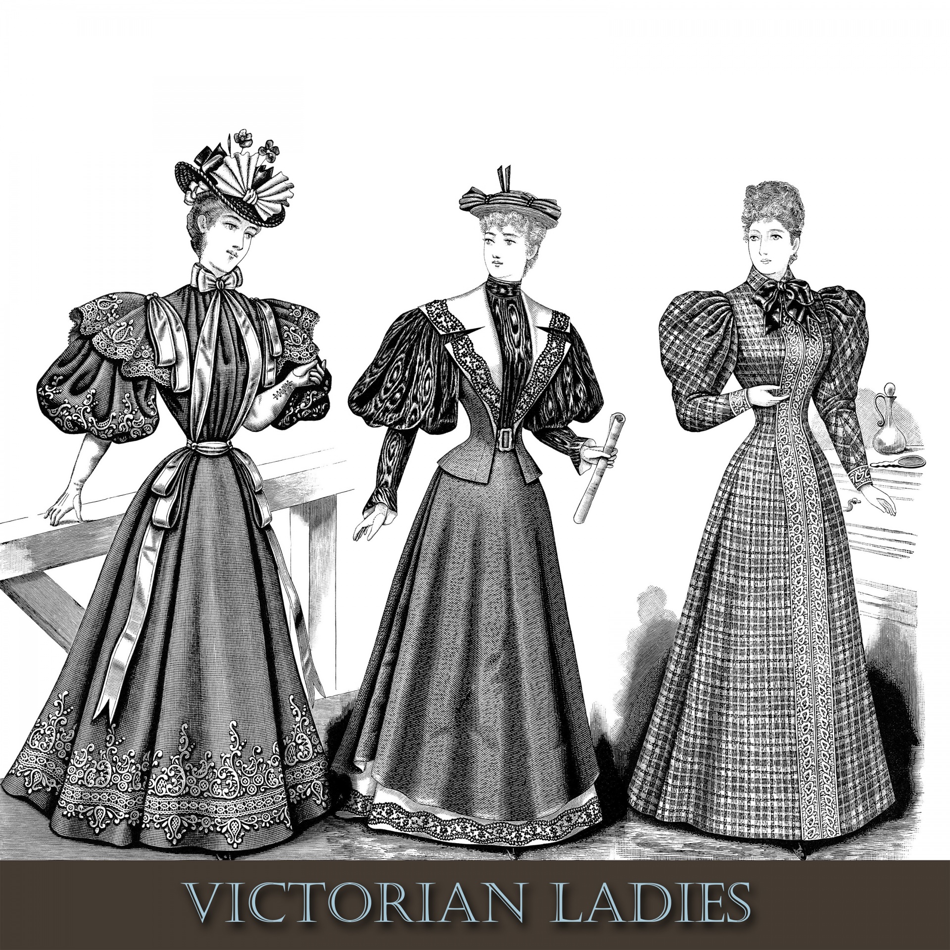 Lady,  Moterys,  Moteris,  Moterys,  Vintage,  Victorian,  Iliustracijos,  Clip & Nbsp,  Menas,  Menas