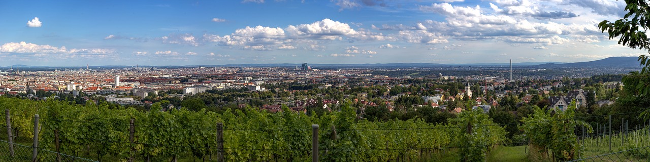 Vienna, Panorama, Vynuogynas, Austria, Miestas, Geras Vaizdas, Perspektyva, Vaizdas, Kraštovaizdis, Vilheminenbergas