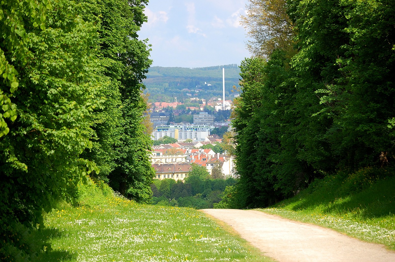 Vienna, Schönbrunn, Pilies Parkas, Takas, Toli, Gamta, Medžiai, Žygiai, Promenada, Vaizdas