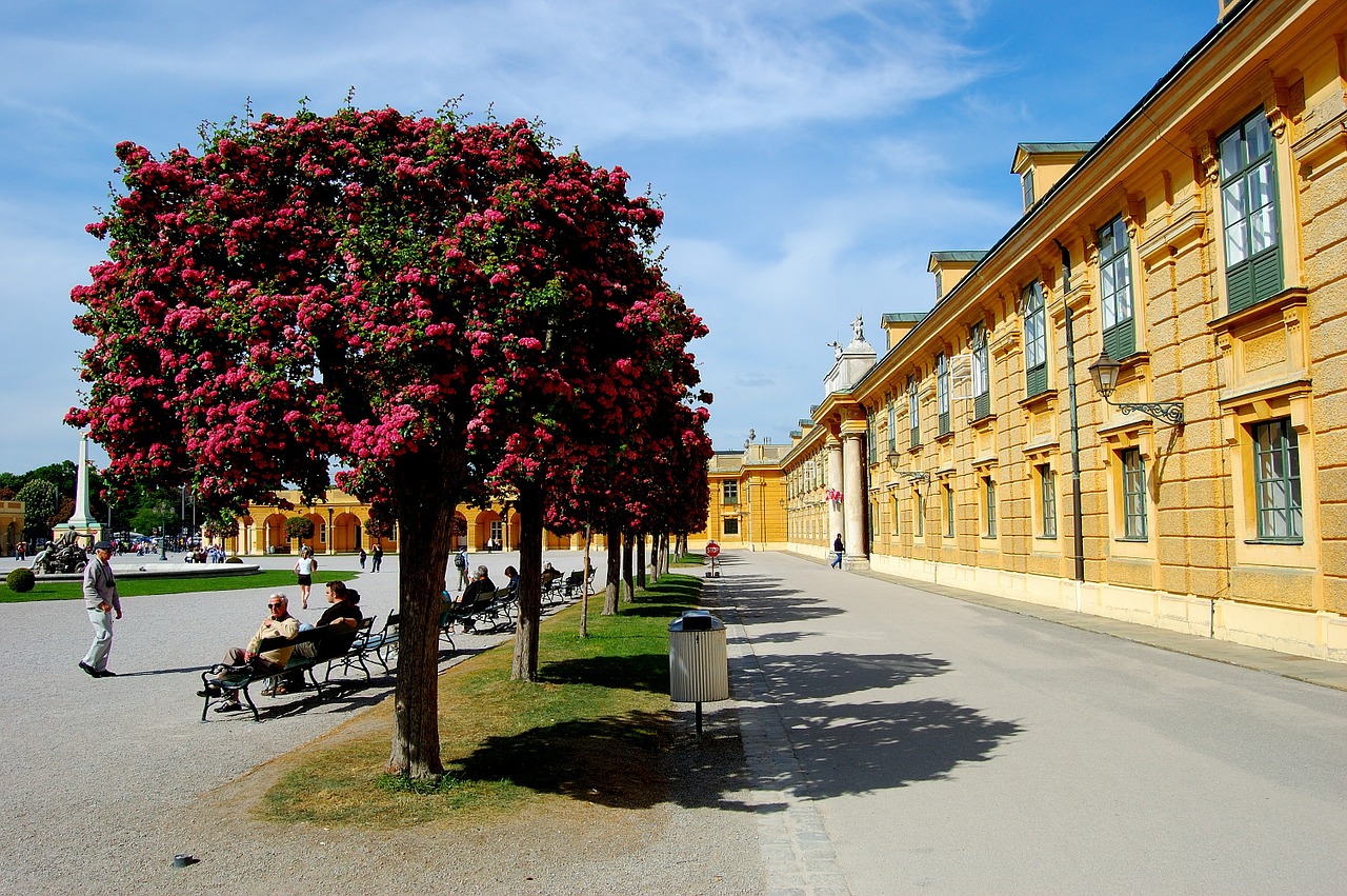 Vienna, Schönbrunn, Mėlynas Dangus, Debesys, Dangus, Mėlynas, Federwolke, Šviesus, Turistai, Perspektyva