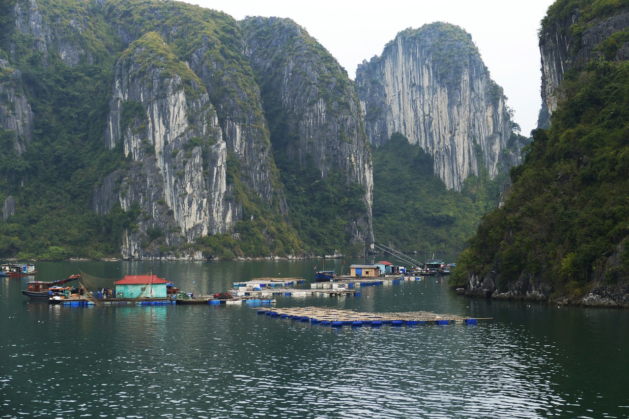 Vietnamas, Halongas, Pasaulio Gamtos Paveldas, Laivas, Jūra, Gamta, Halongo Įlanka, Kraštovaizdis, Unesco, Fischer