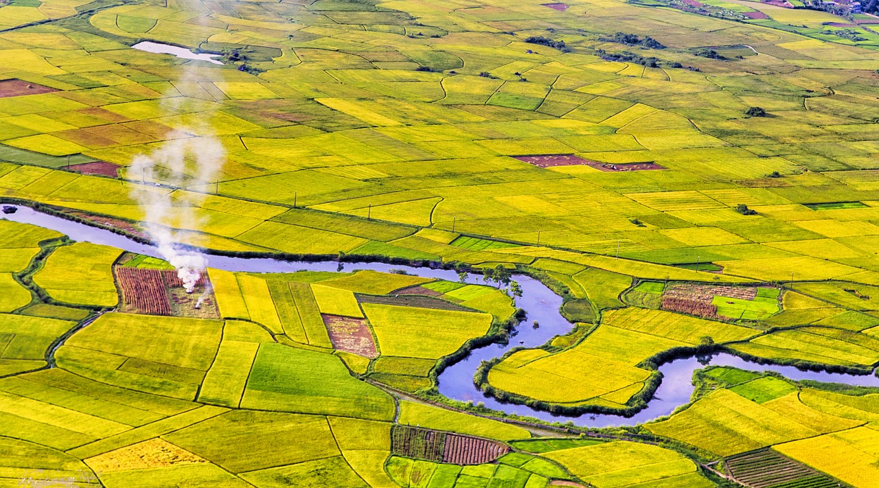 Vietnamas,  Kraštovaizdžio Srityse,  Aerial,  Žalias,  Žemdirbystė, Nemokamos Nuotraukos,  Nemokama Licenzija