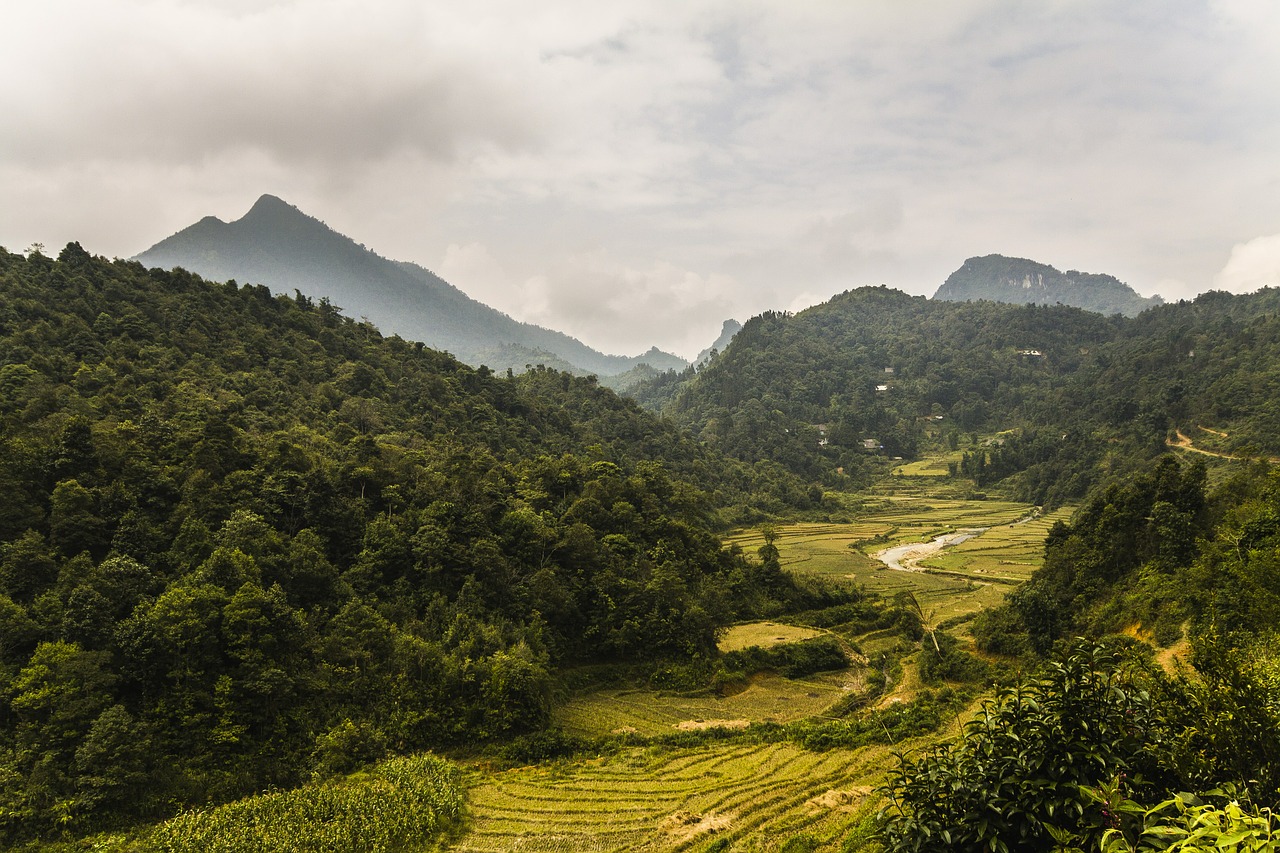 Vietnamas, Kelionė, Asija, Turizmas, Vaizdas, Gamta, Kraštovaizdis, Asian, Lauke, Vietnamiečių