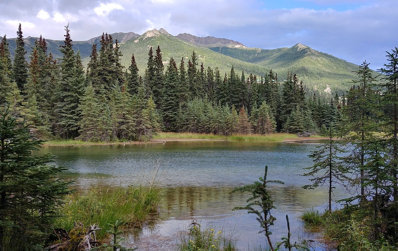 Vaizdas, Gamta, Alaska, Nemokamos Nuotraukos,  Nemokama Licenzija