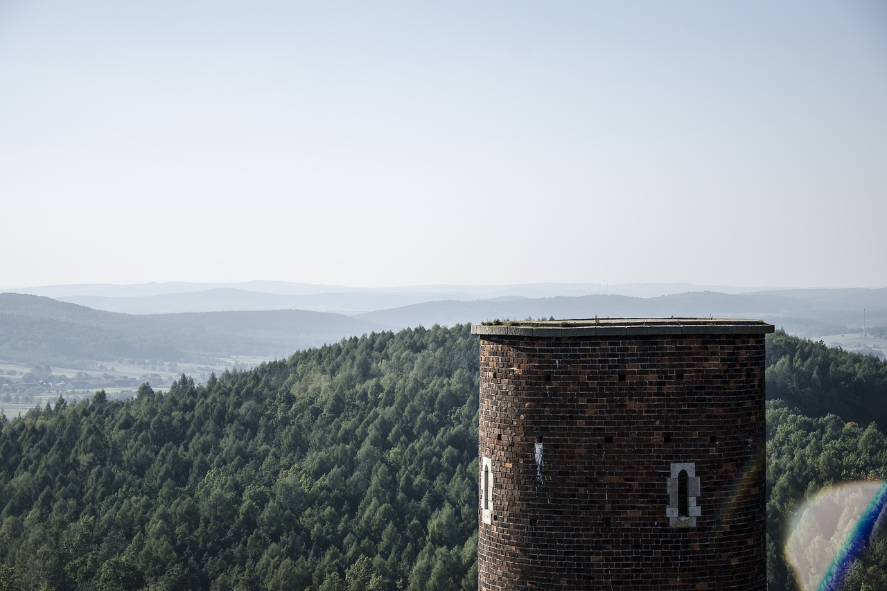 Vaizdas, Checinis, Vaizdas Iš Viršaus, Holikrozė, Senoji Pilis, Pilis, Kalnų Slėnis, Medis, Swietokrzyskie Kalnai, Aukštis