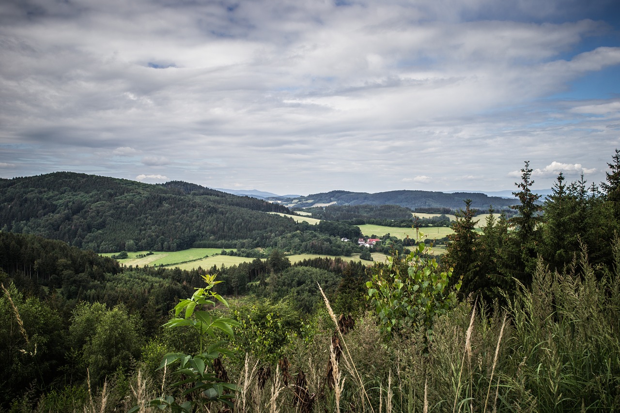 Vaizdas,  Panorama,  Gamta,  Kraštovaizdis,  Debesys,  Miškas,  Smailės,  Dangus,  Dangus,  Be Honoraro Mokesčio