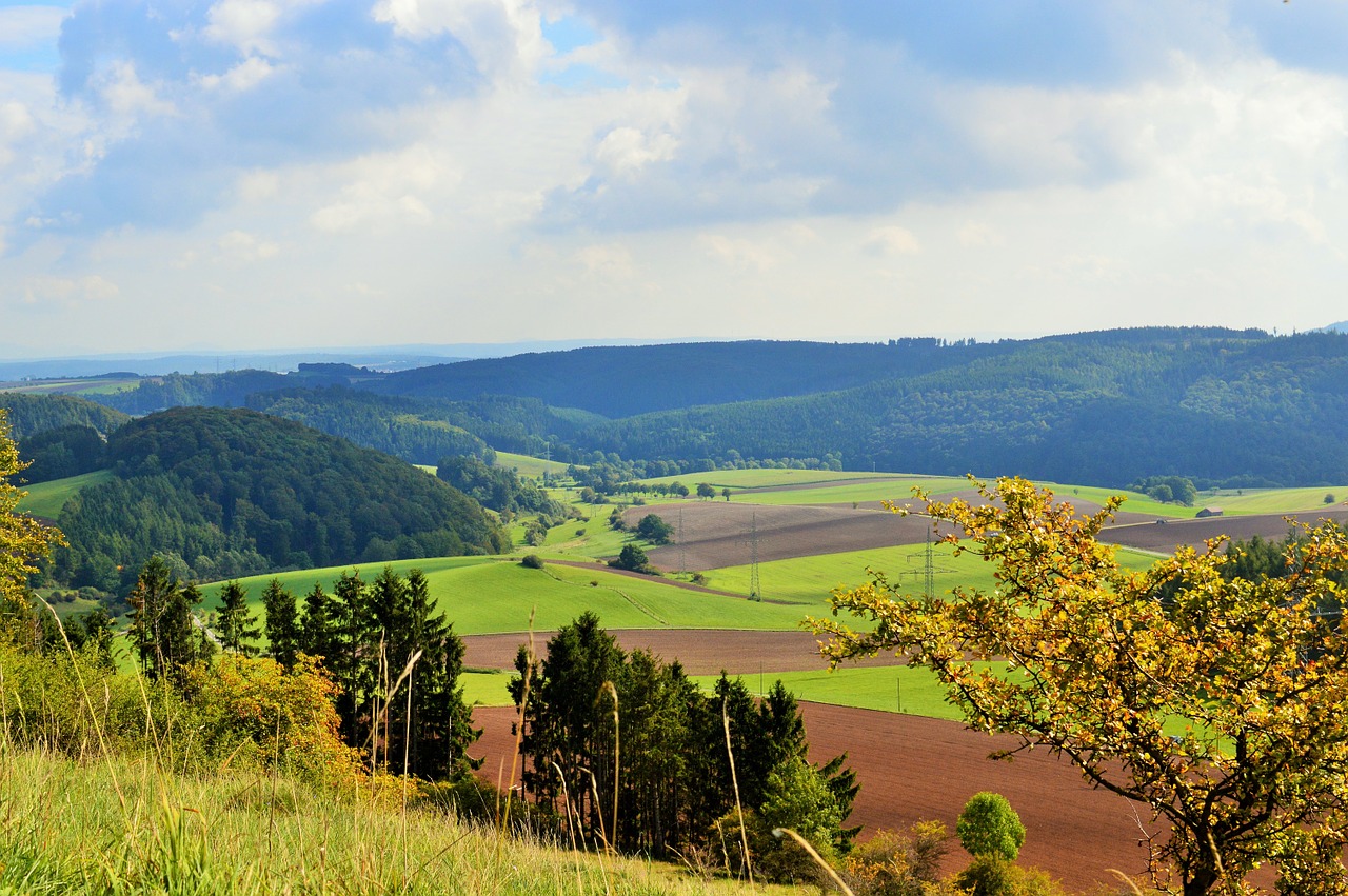 Vaizdas, Ruduo, Kraštovaizdis, Gamta, Kalnai, Miškas, Žalias, Lapai, Panorama, Naudos Iš