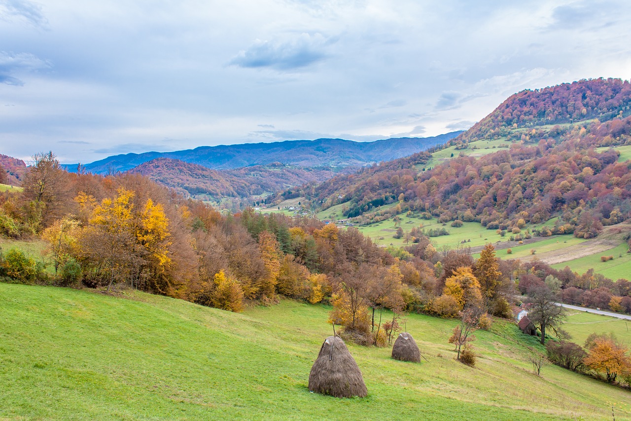 Kaimas, Medžiai, Ruduo, Kraštovaizdis, Gamta, Kalnas, Nemokamos Nuotraukos,  Nemokama Licenzija