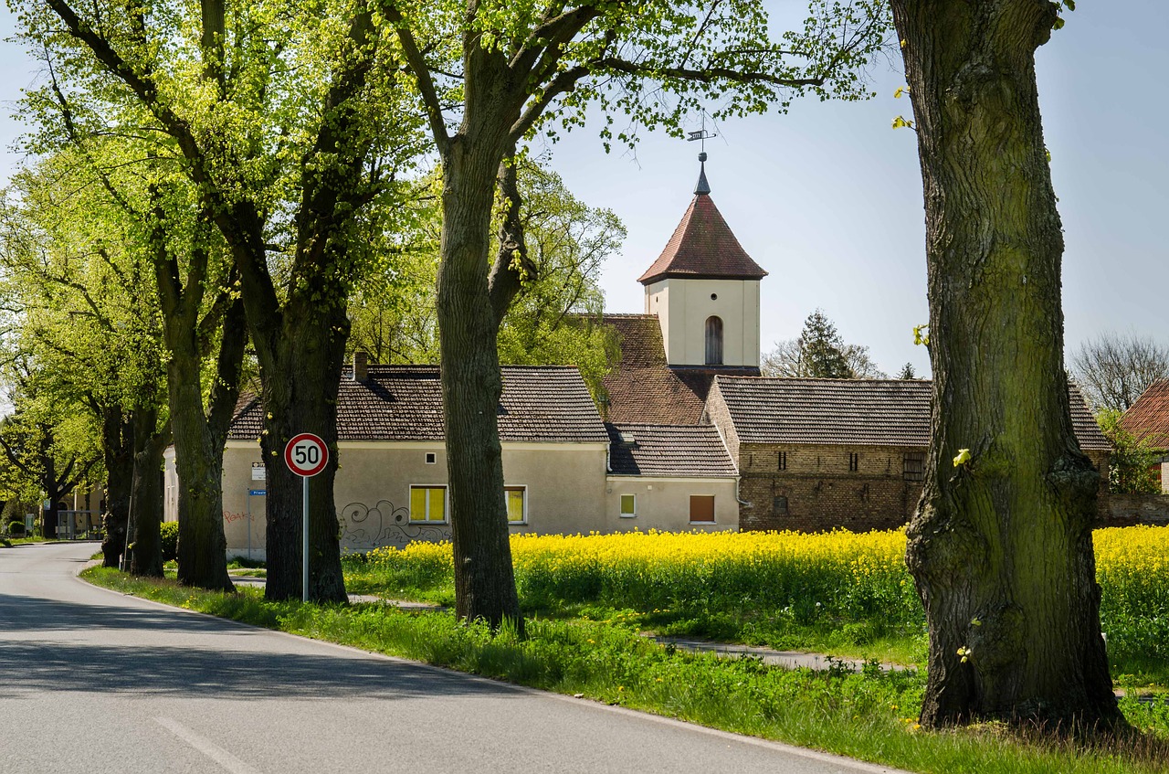 Kaimas, Pavasaris, Žalias, Tolimas Vaizdas, Laukas, Medžiai, Kraštovaizdis, Medžių Giraitė, Gamta, Rapsų Sėklos